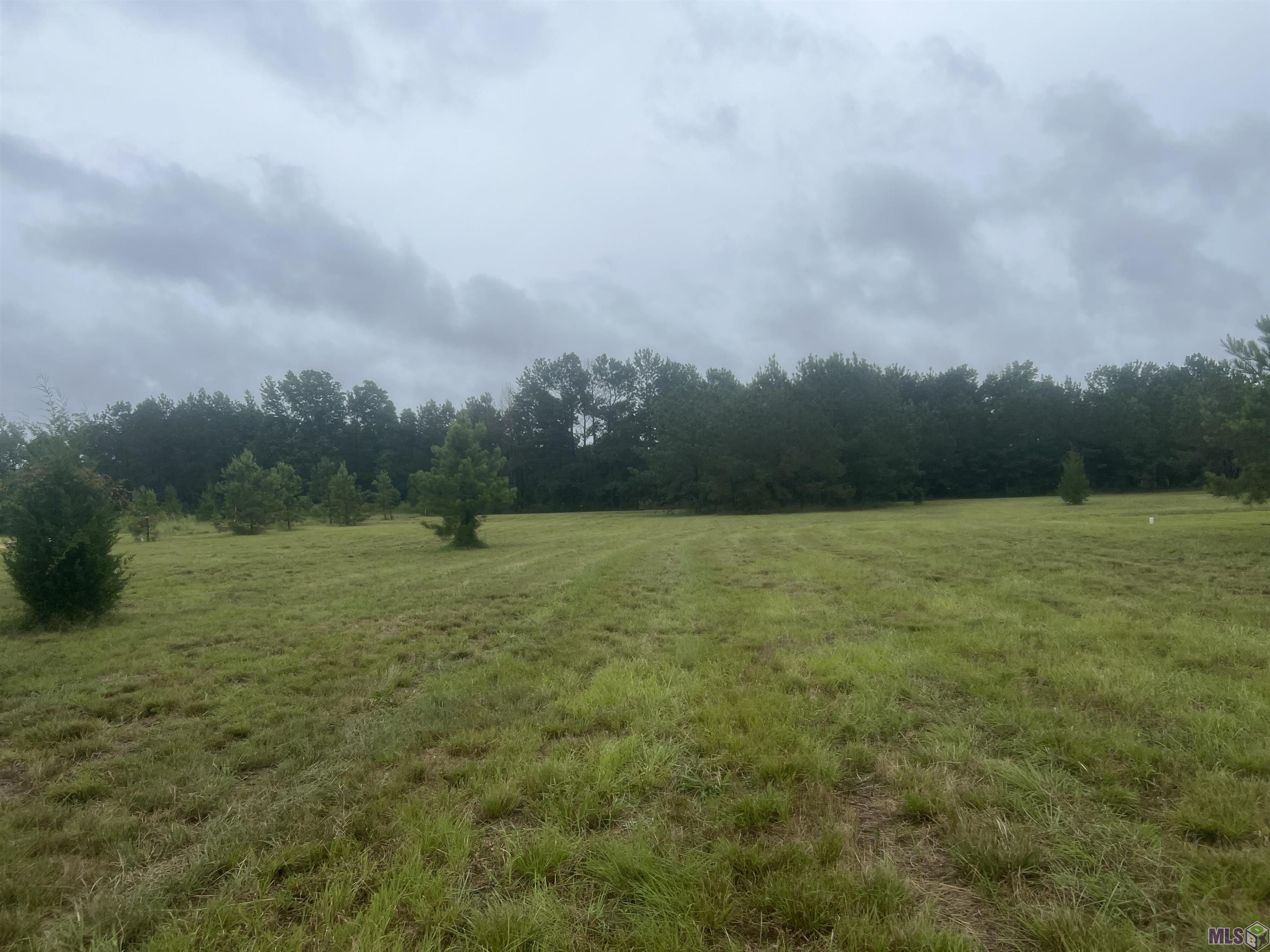 TBD LA HWY 67, Clinton, LA 70722
