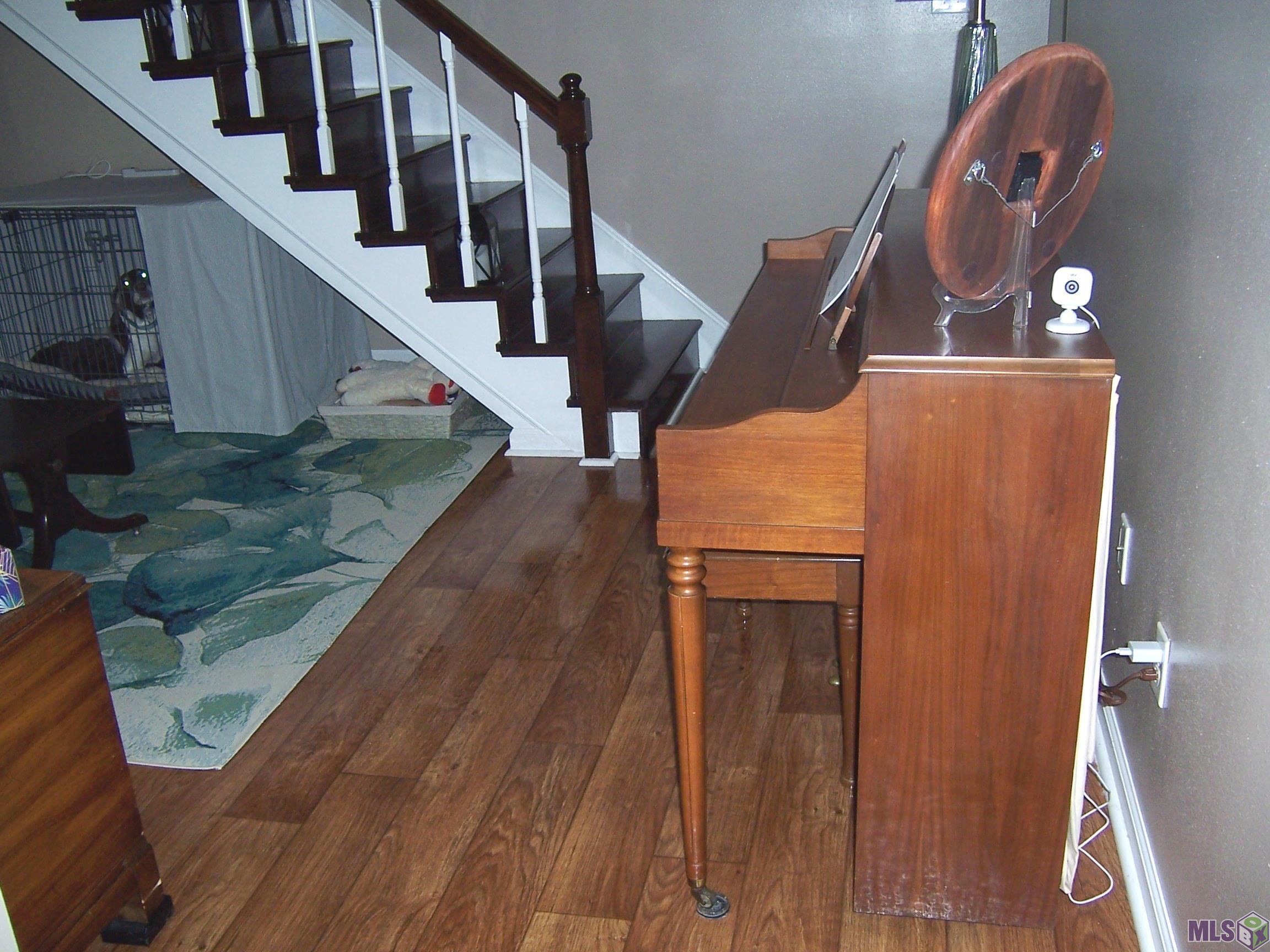 Photo 5