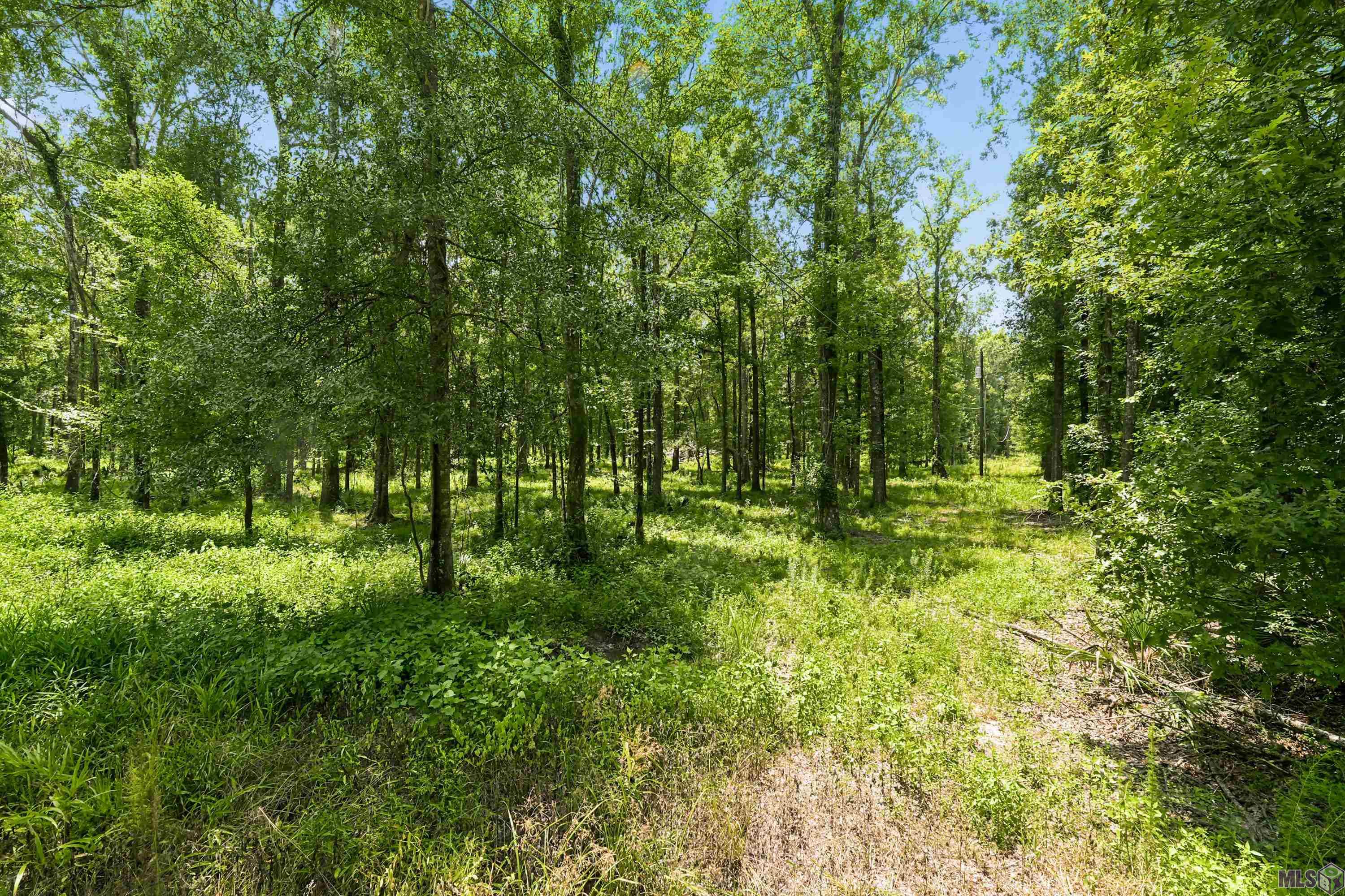 Lot 1 WILDWOOD DR, Denham Springs, LA 70726
