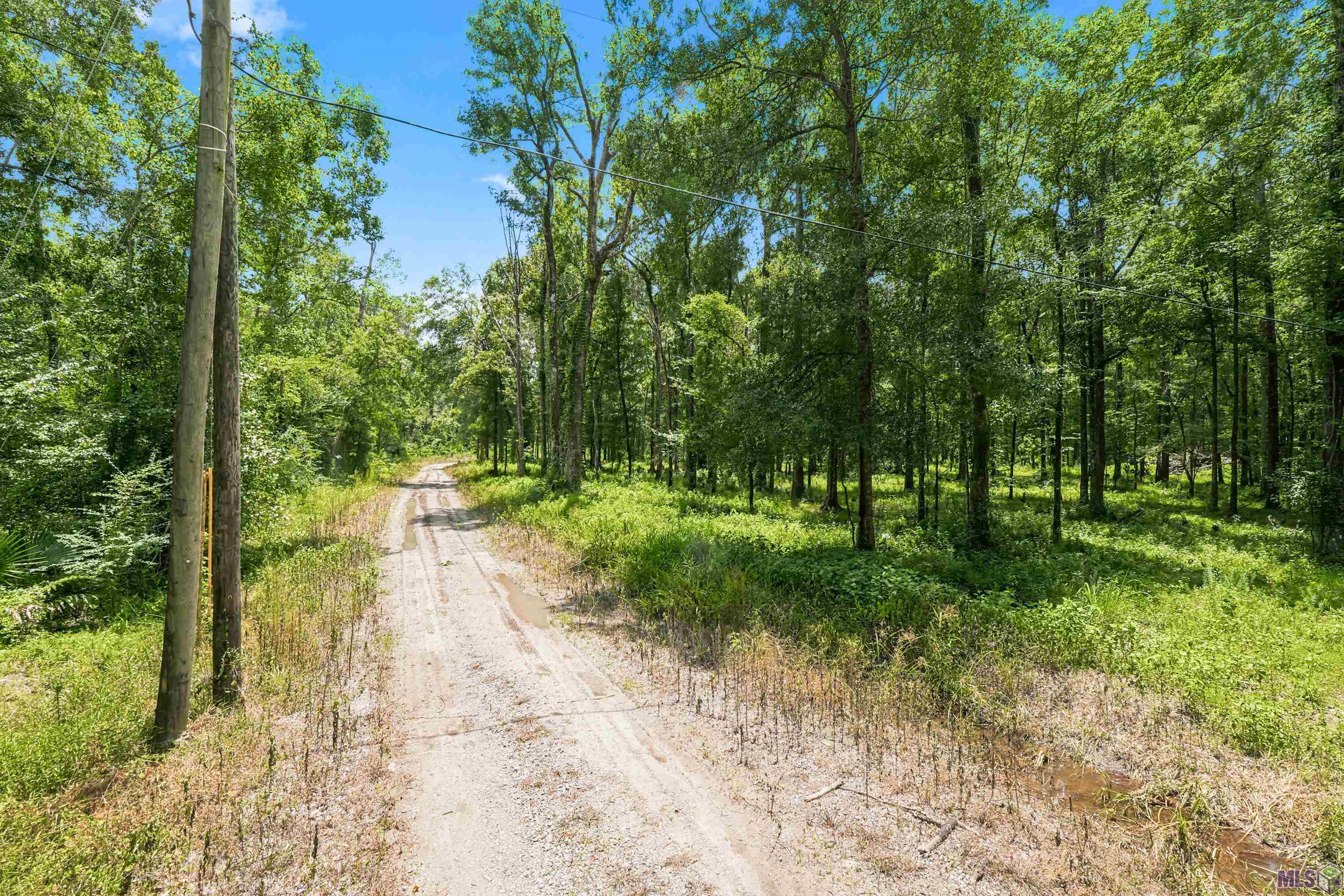 Lot 1 WILDWOOD DR, Denham Springs, LA 70726