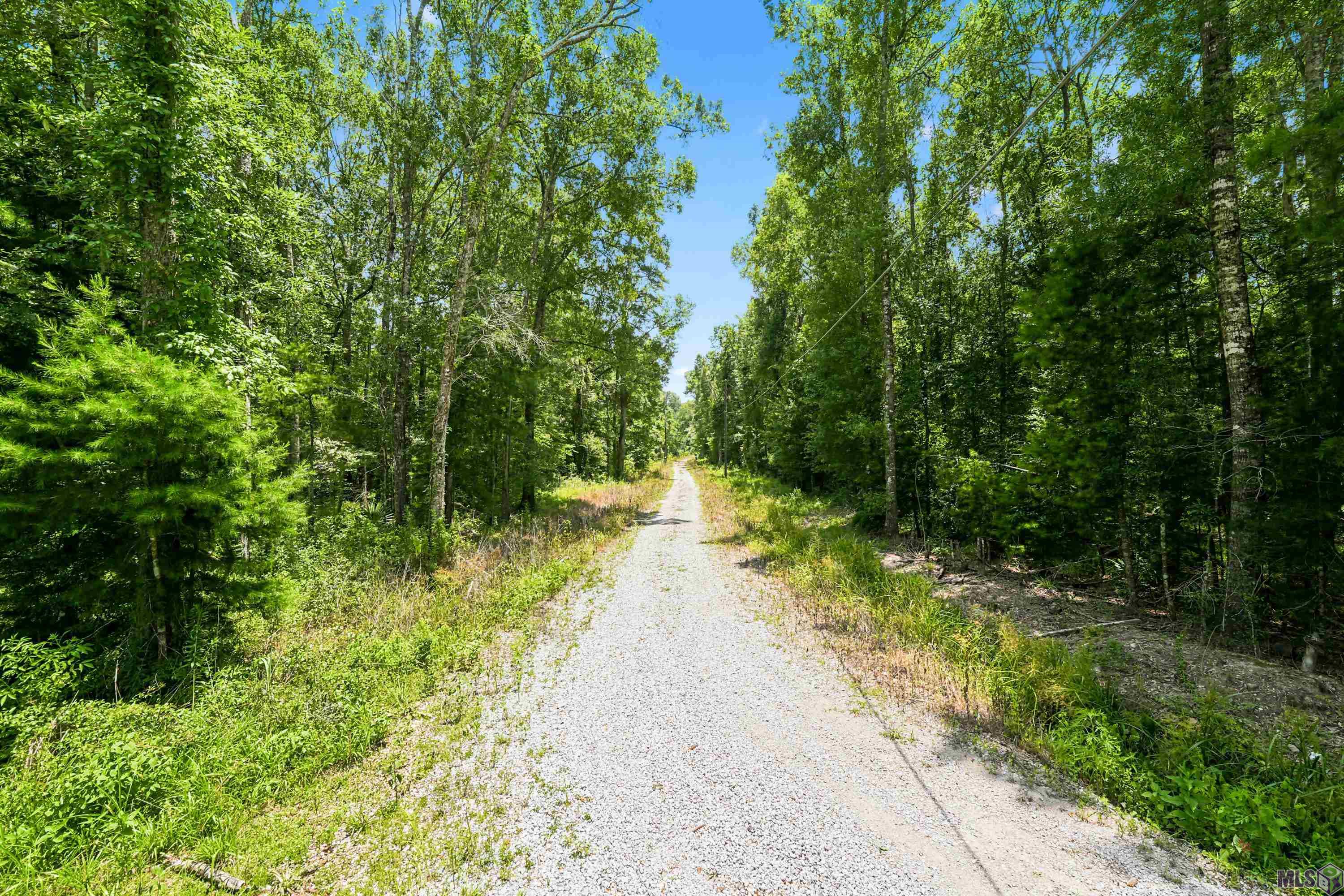 Lot 1 WILDWOOD DR, Denham Springs, LA 70726