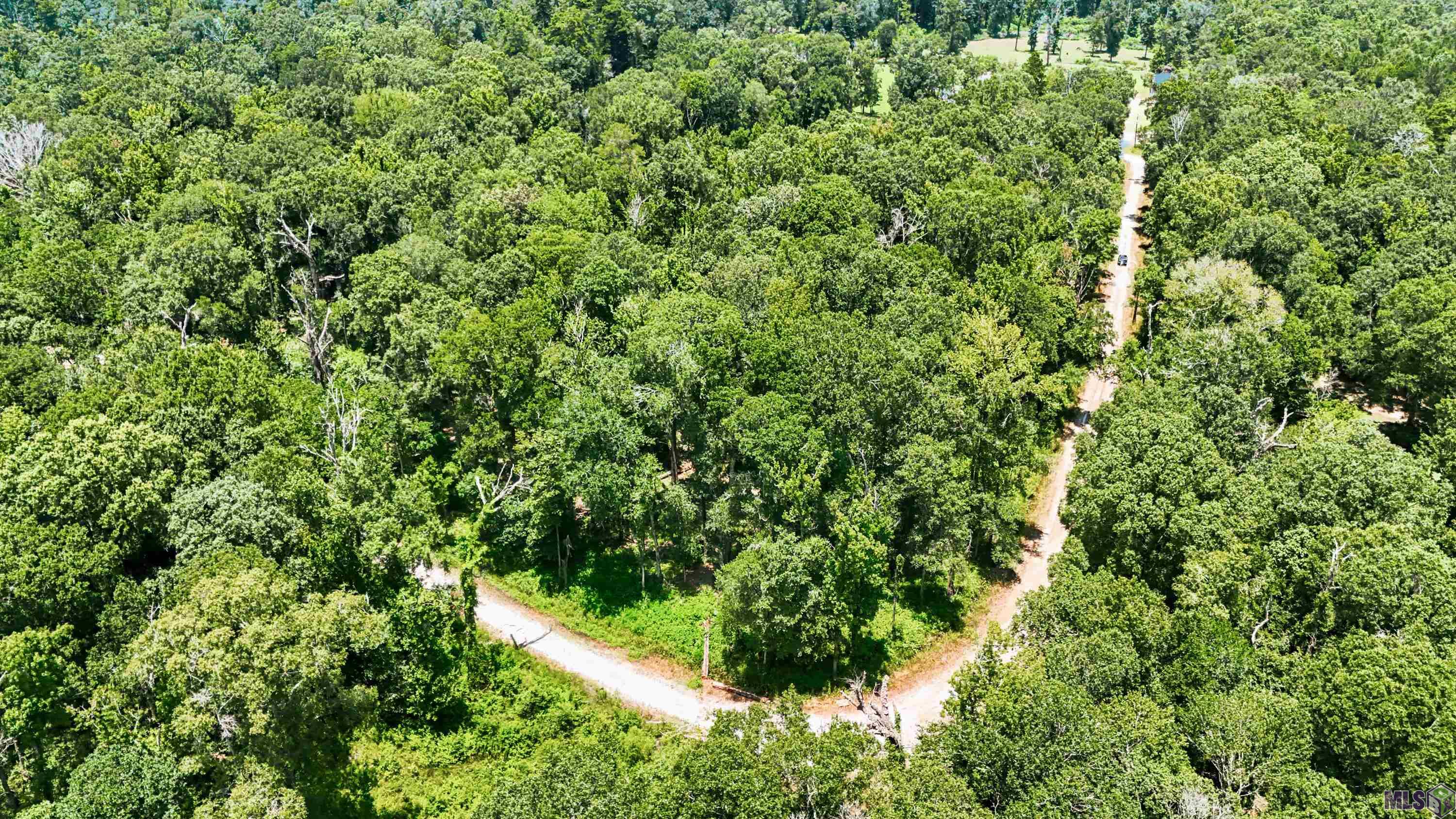 Lot 1 WILDWOOD DR, Denham Springs, LA 70726