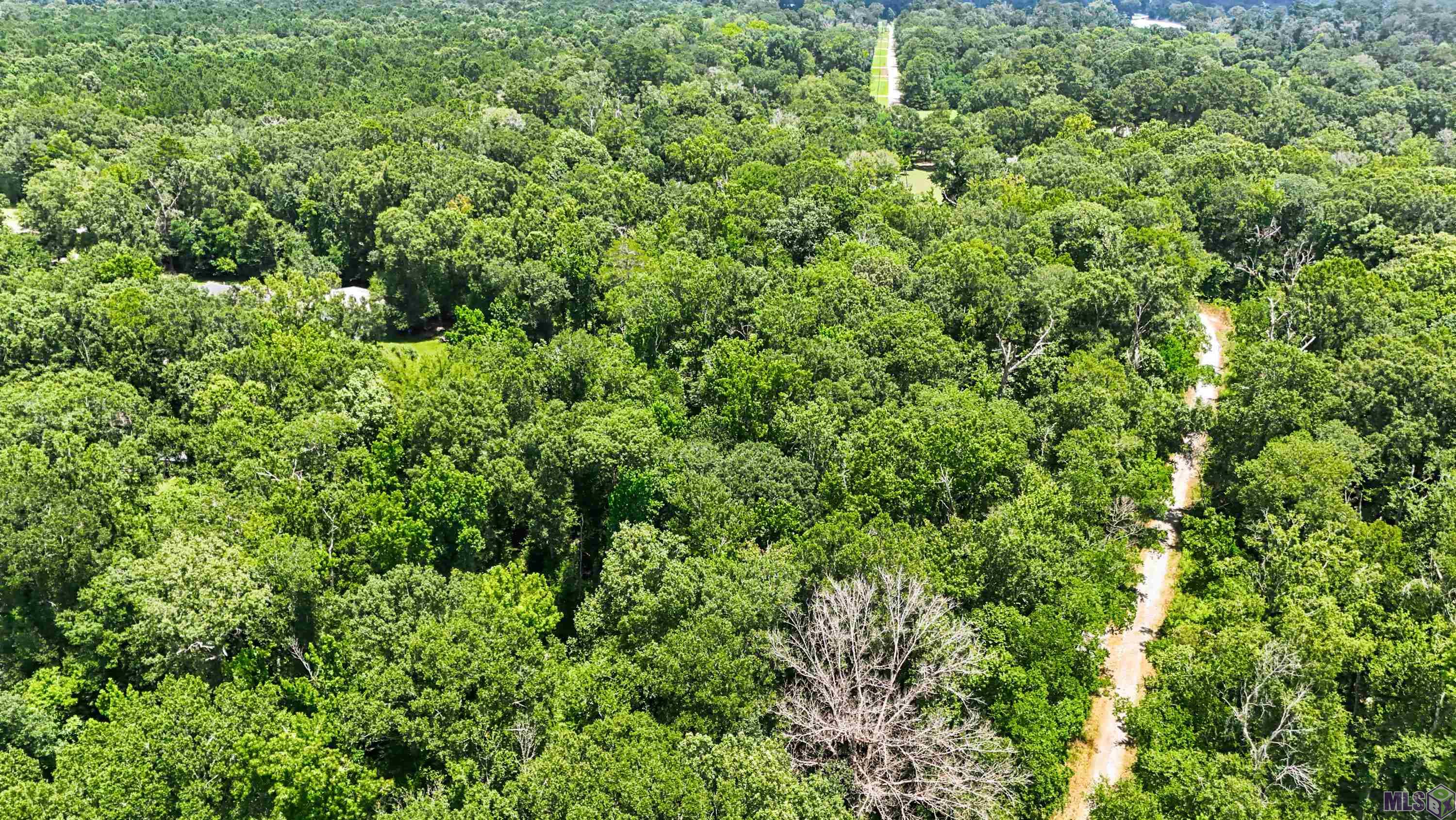 Lot 1 WILDWOOD DR, Denham Springs, LA 70726