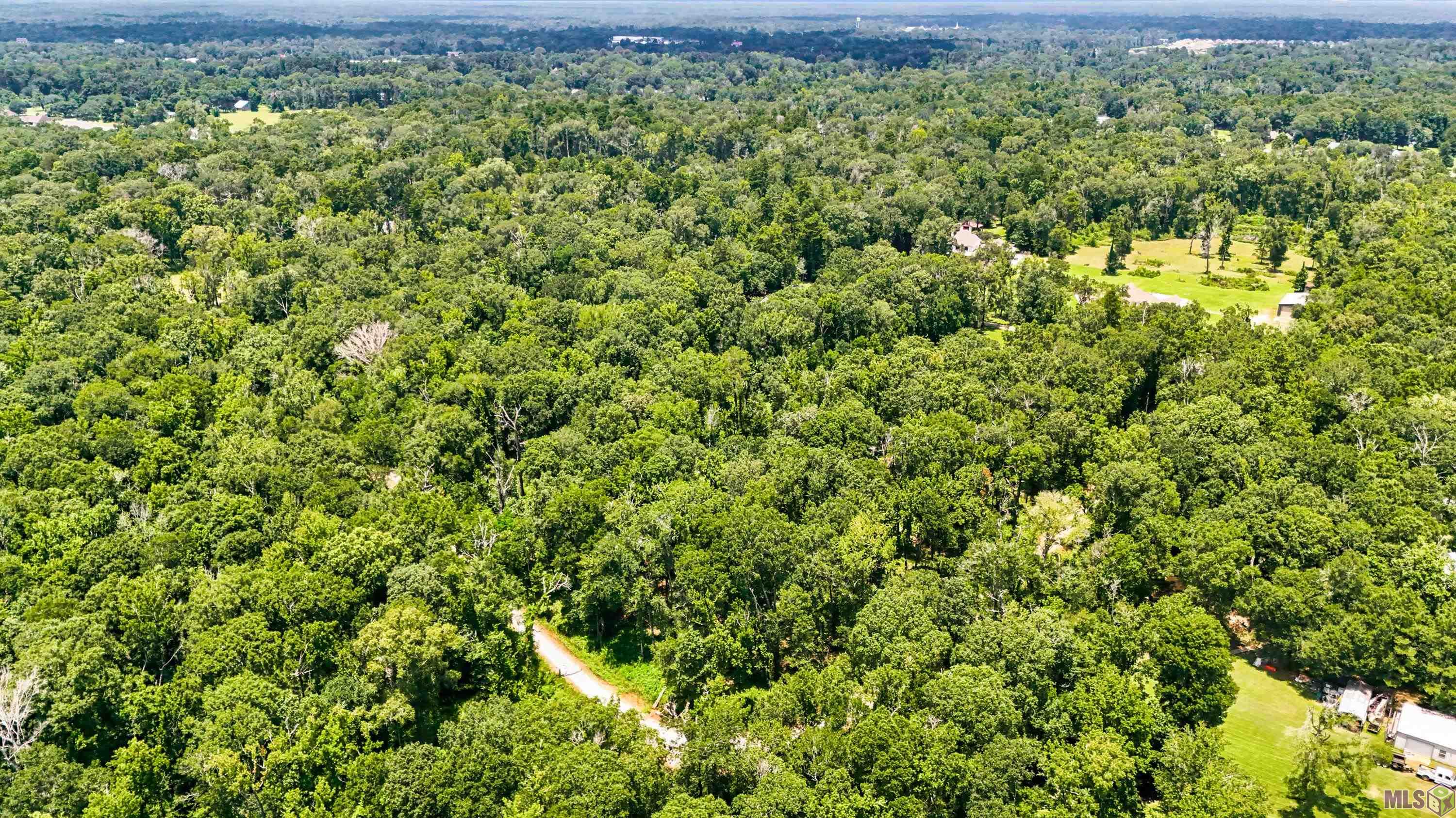 Lot 1 WILDWOOD DR, Denham Springs, LA 70726