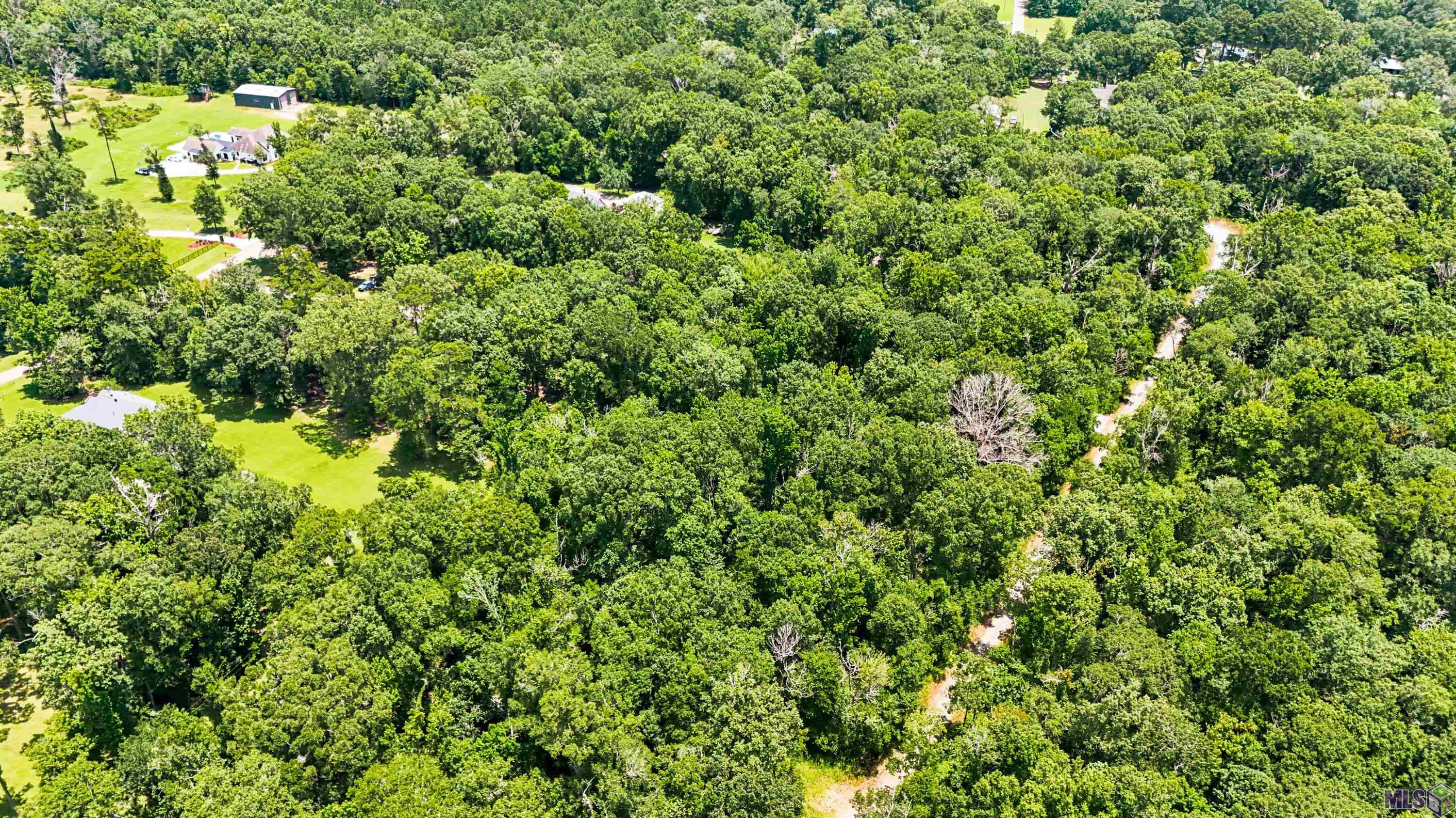 Lot 1 WILDWOOD DR, Denham Springs, LA 70726