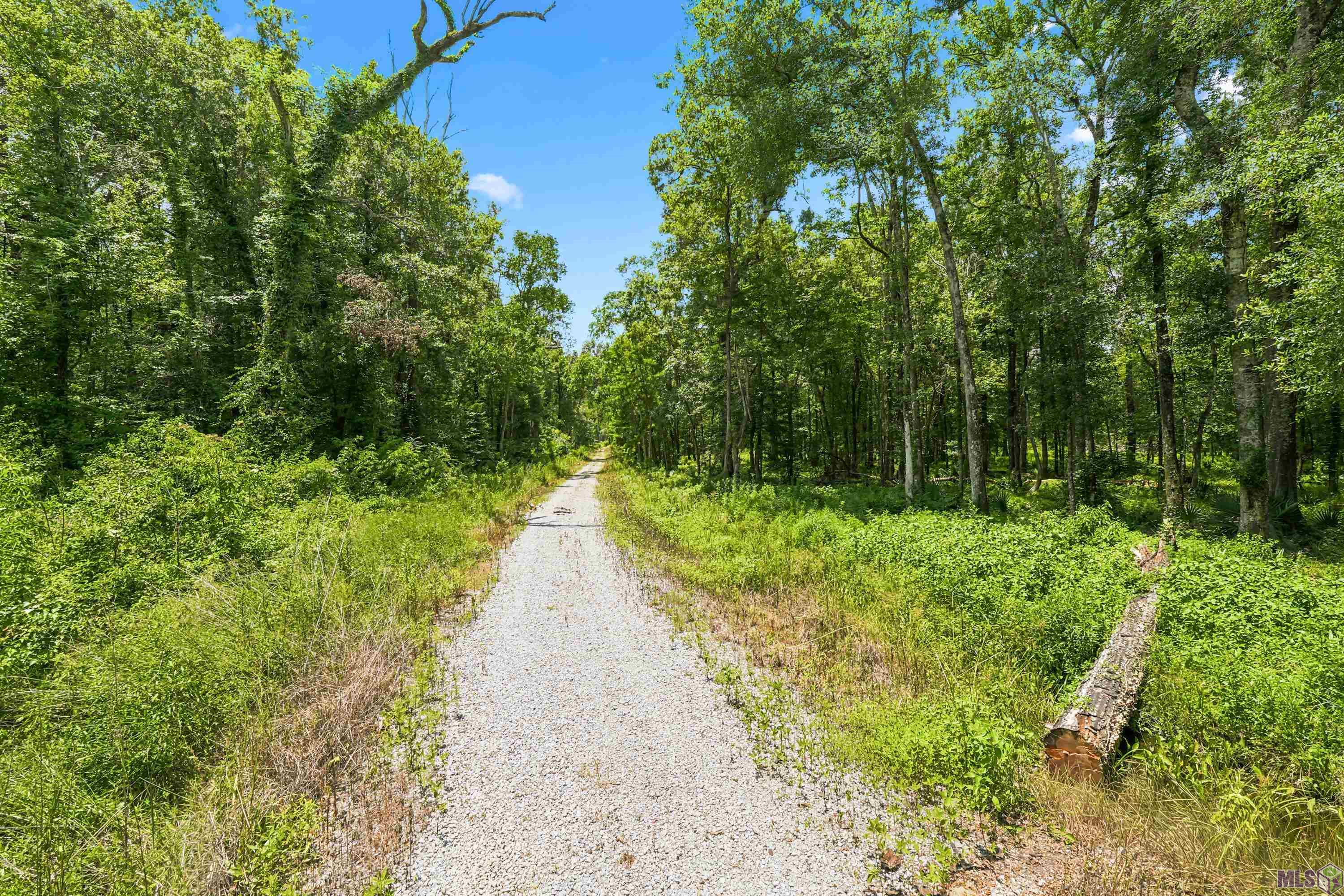 Lot 1 WILDWOOD DR, Denham Springs, LA 70726