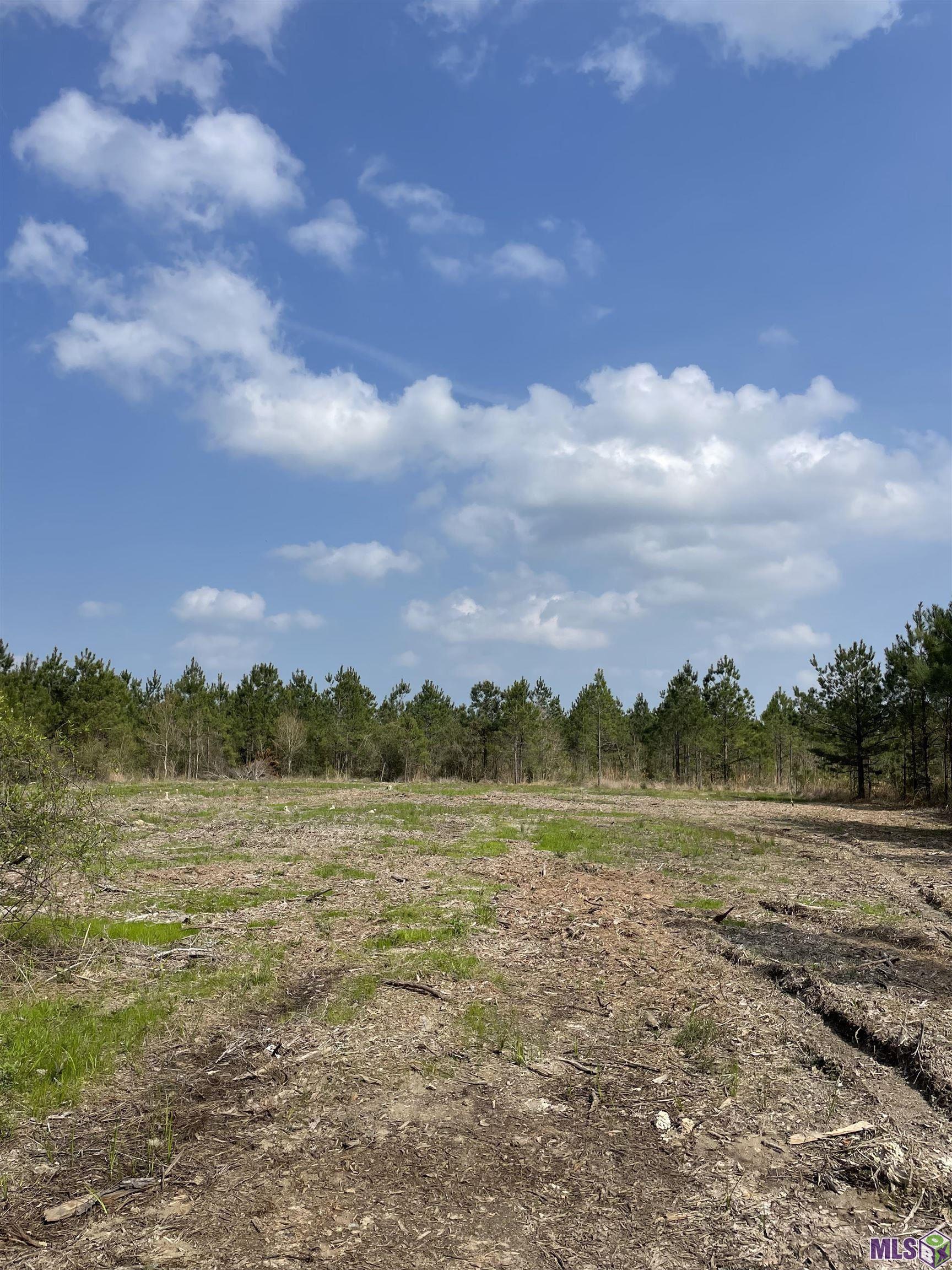 Tract 14 LORIN WALL RD, Holden, LA 70774