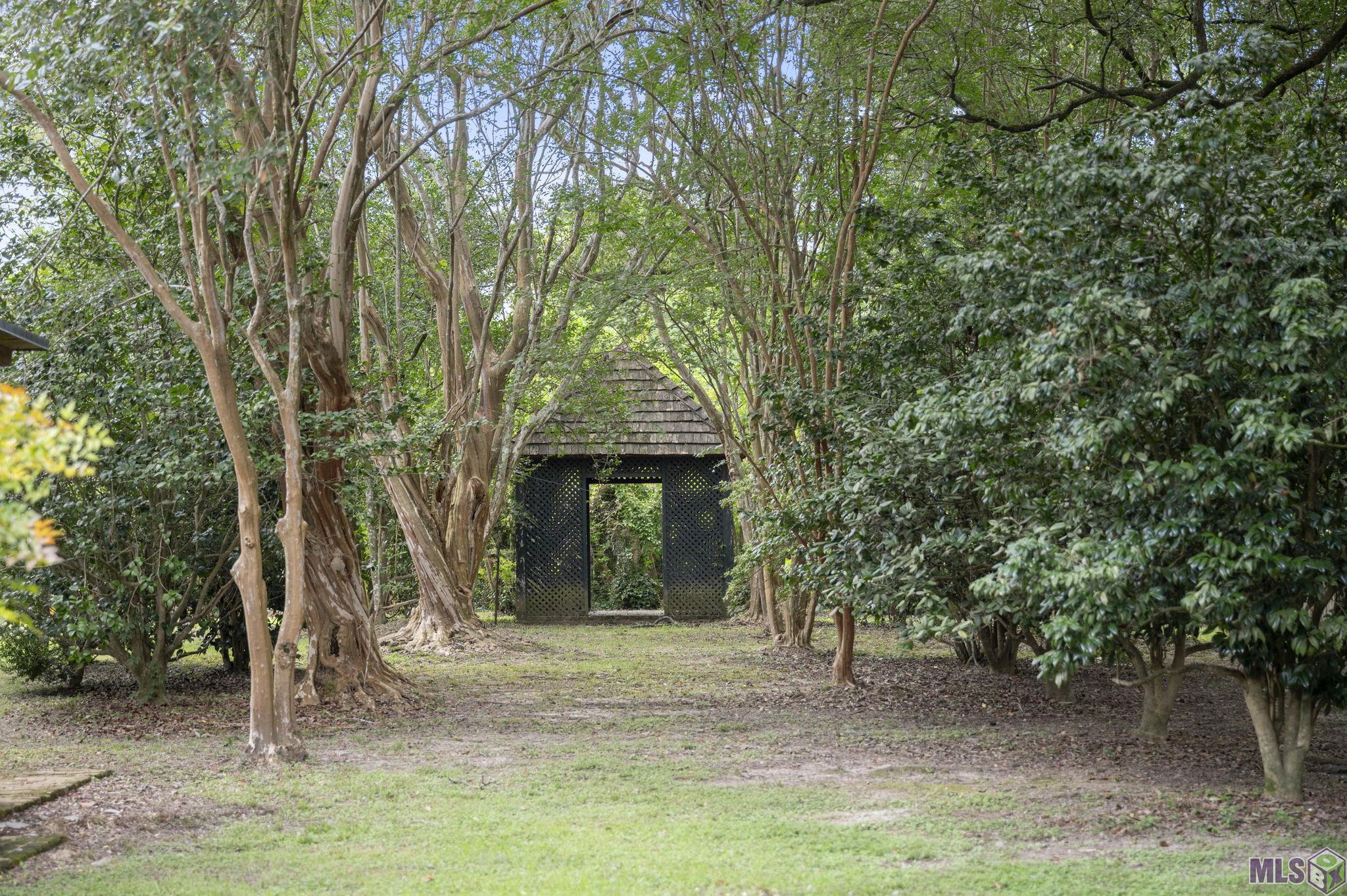 Photo 43