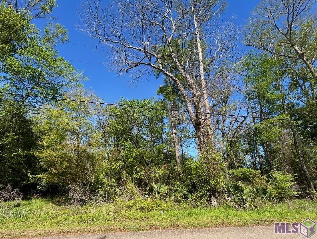 Lot 23 & 24 LA TRACE RD, Livingston, LA 70754