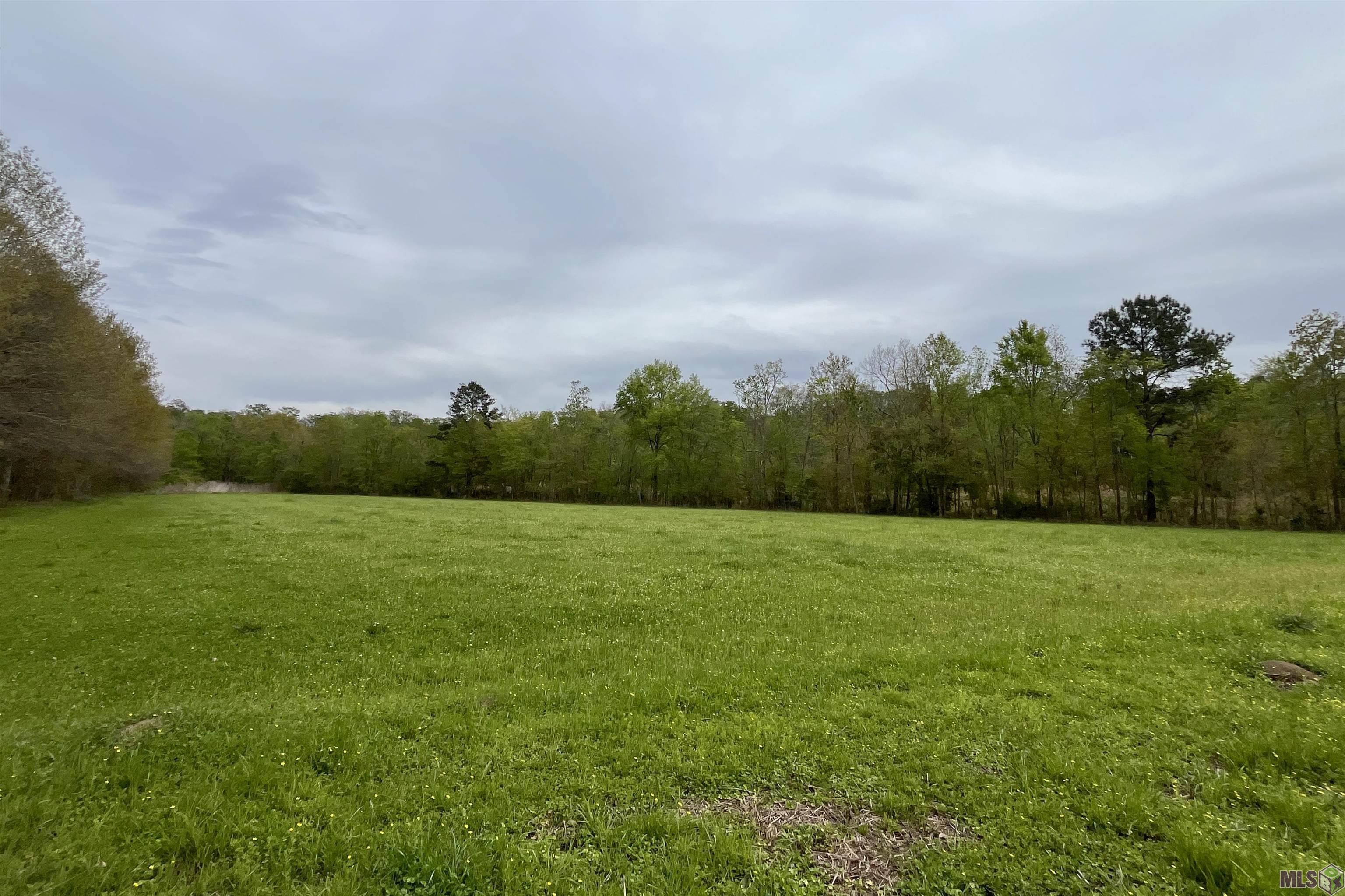 05 HWY 22, St. Amant, LA 70774