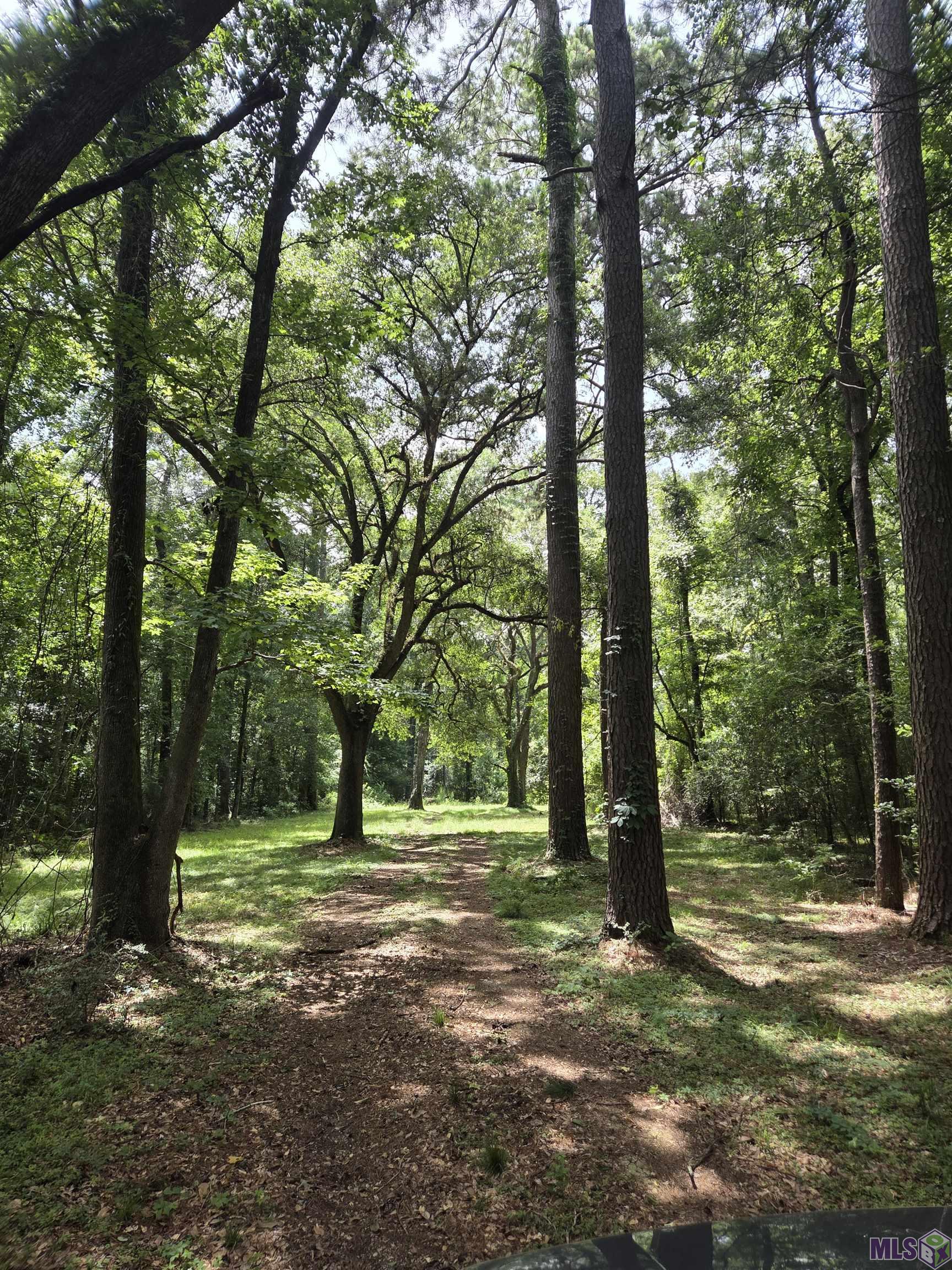 TBD BLACKMORE RD, St. Francisville, LA 70775