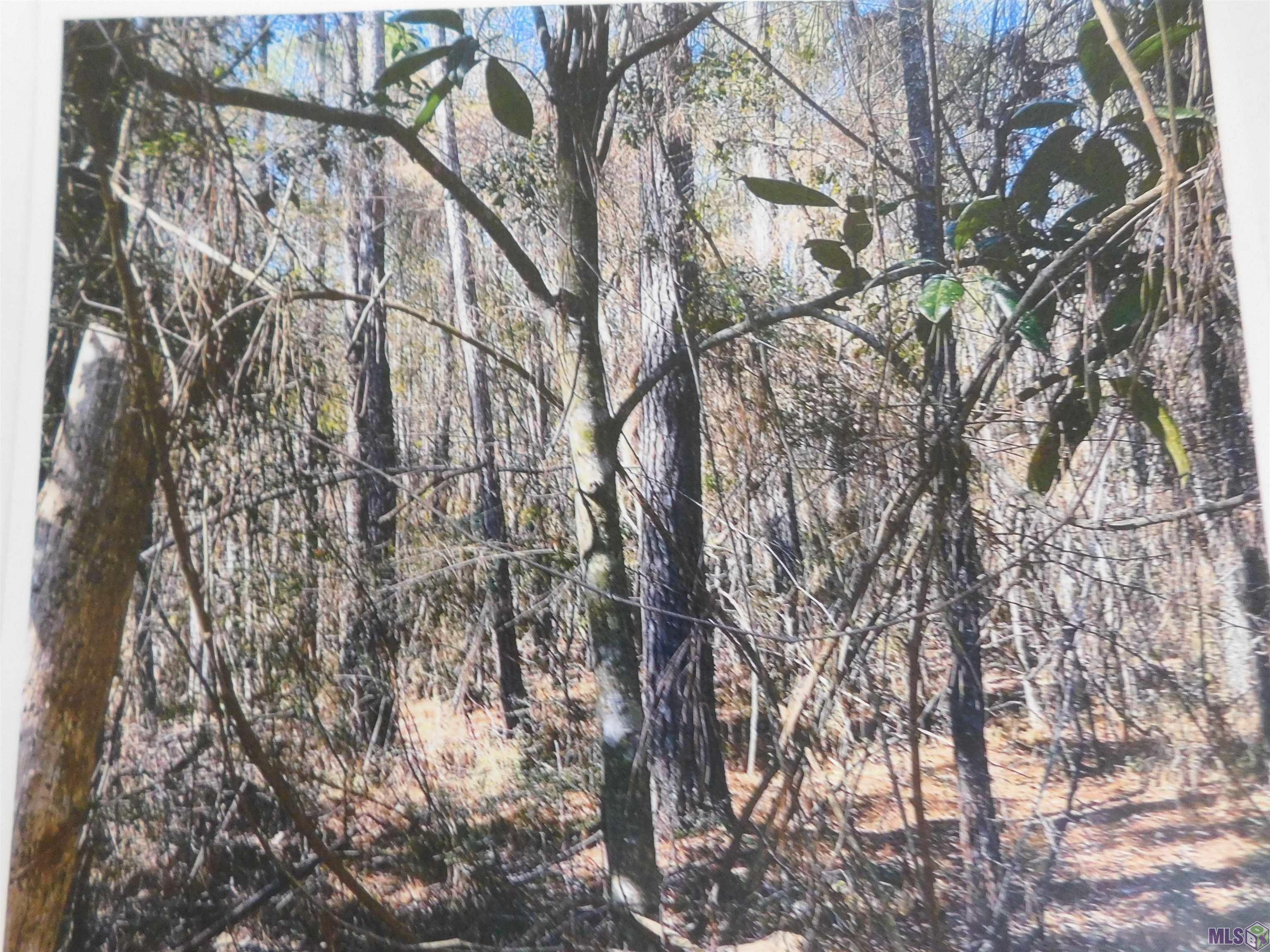 TBD TRANSMITTER RD, Lacombe, LA 70445