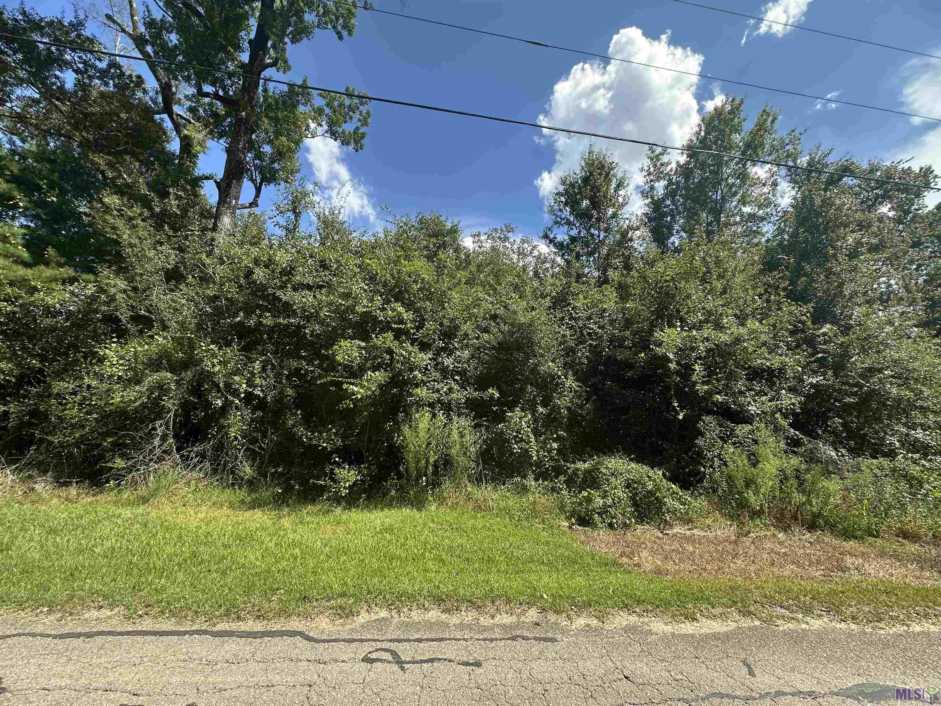 lot 23-A GUNBOAT ISLAND CIR, Maurepas, LA 70449