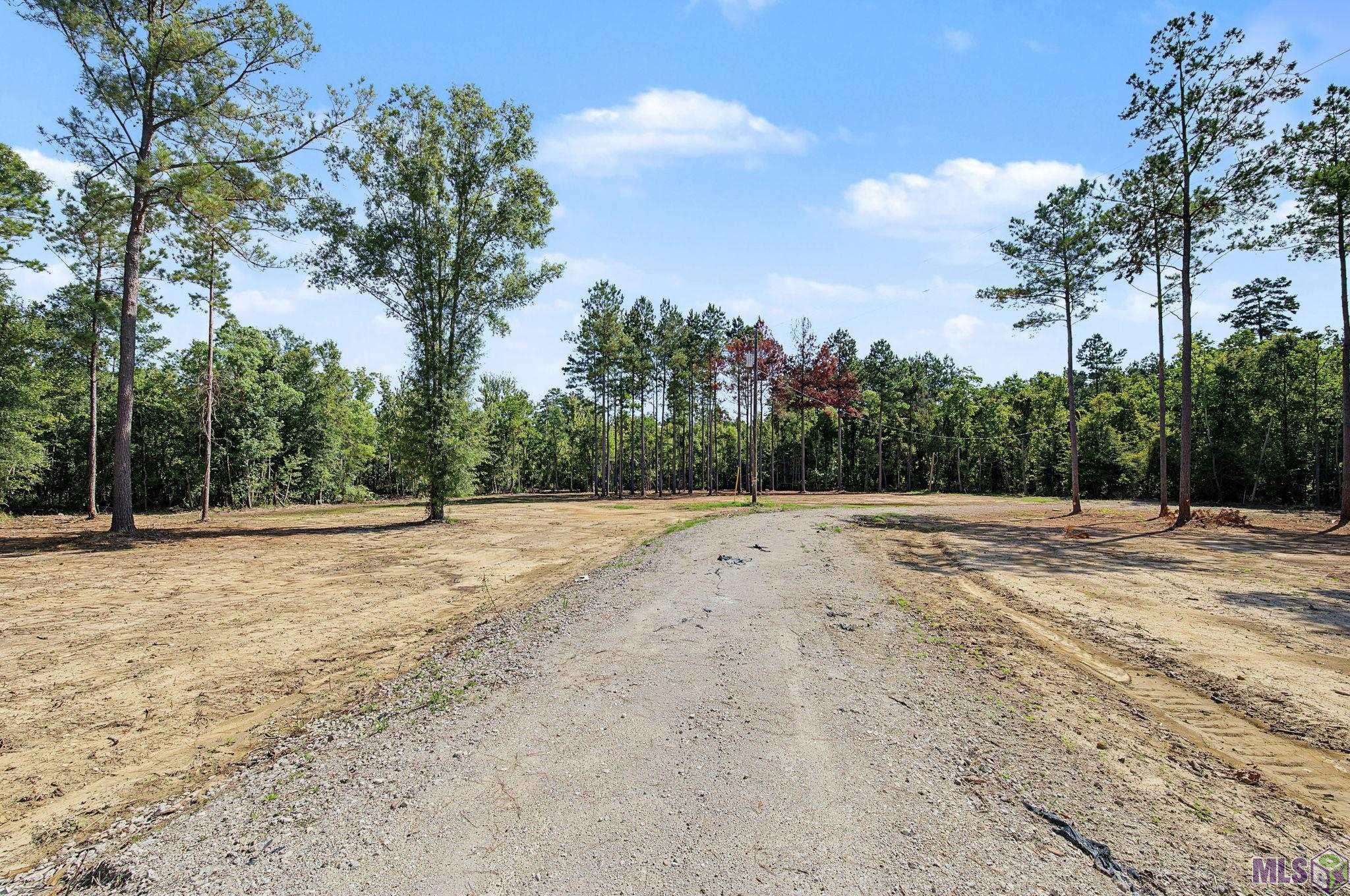 36764 WEISS RD, Walker, LA 70785