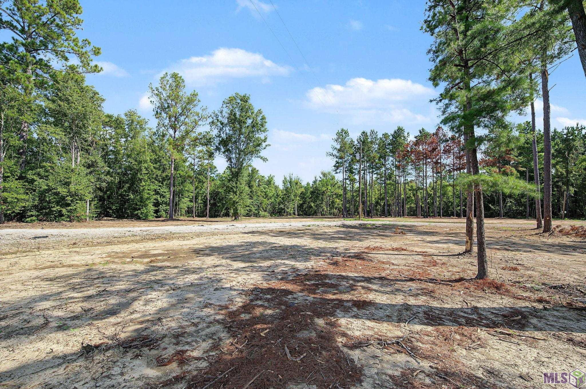 36764 WEISS RD, Walker, LA 70785