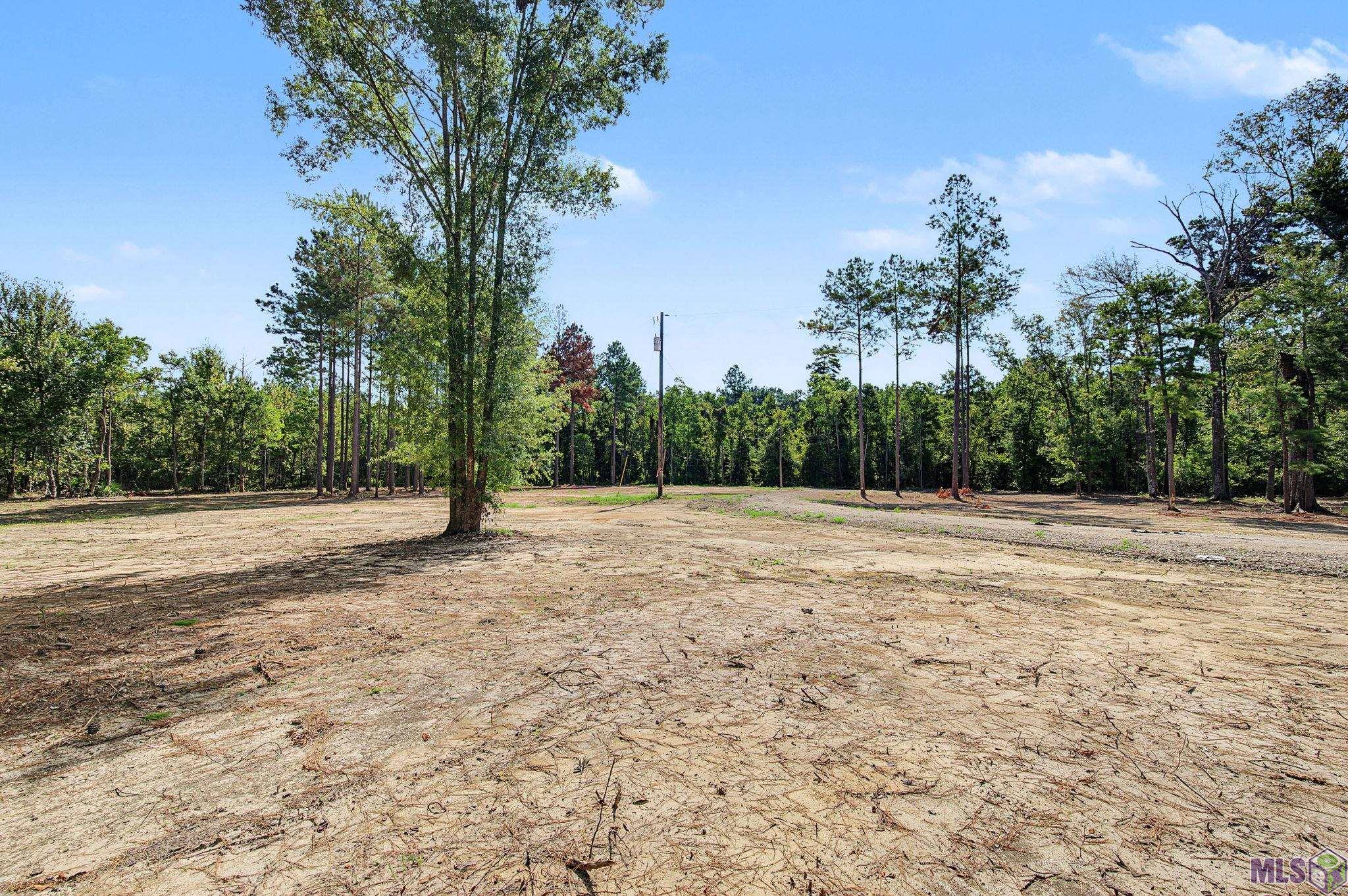 36764 WEISS RD, Walker, LA 70785