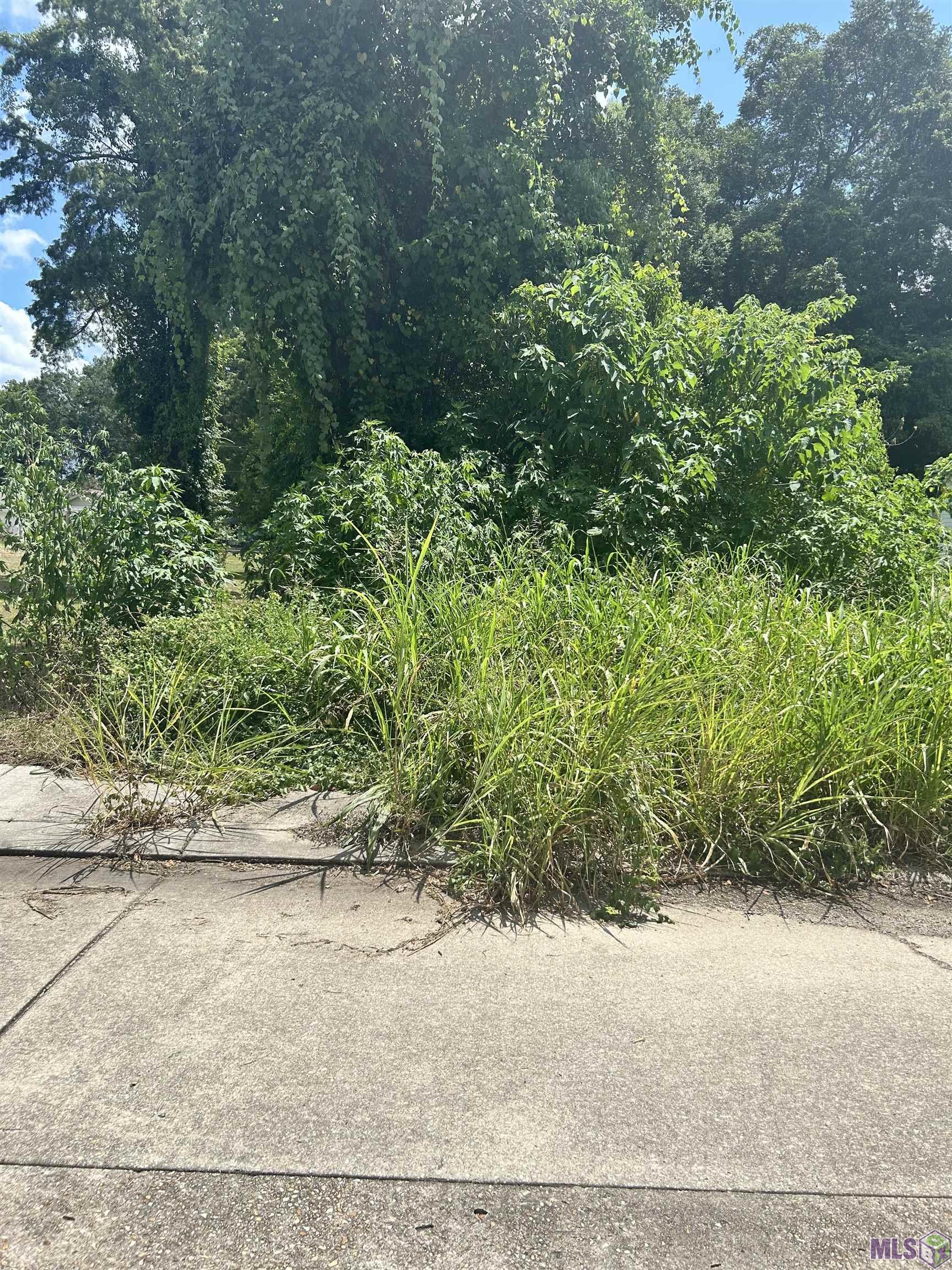 2251 VIRGINIA ST, Baton Rouge, LA 70802