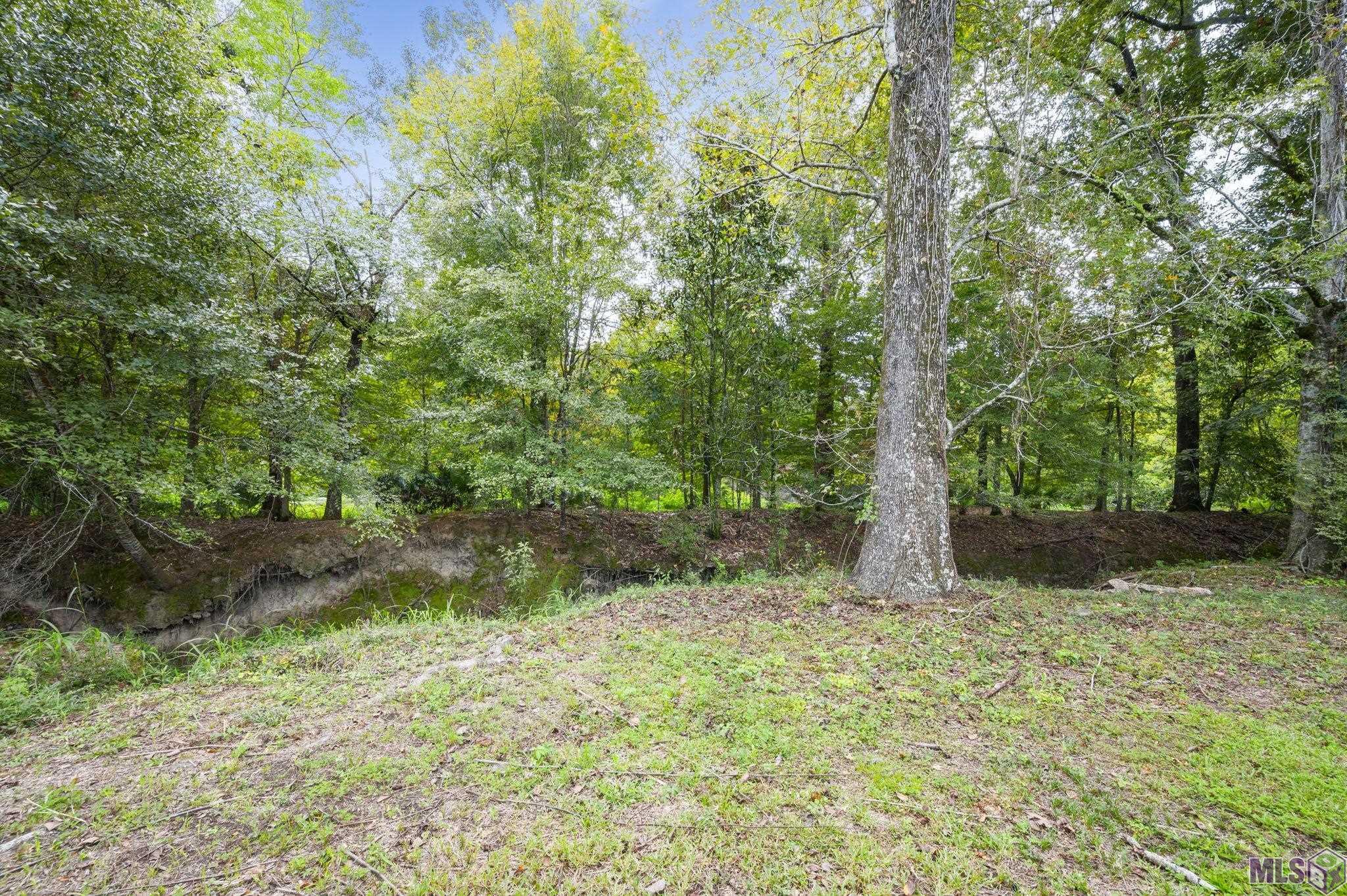 9136 S CONTOUR DR, Baton Rouge, LA 70809