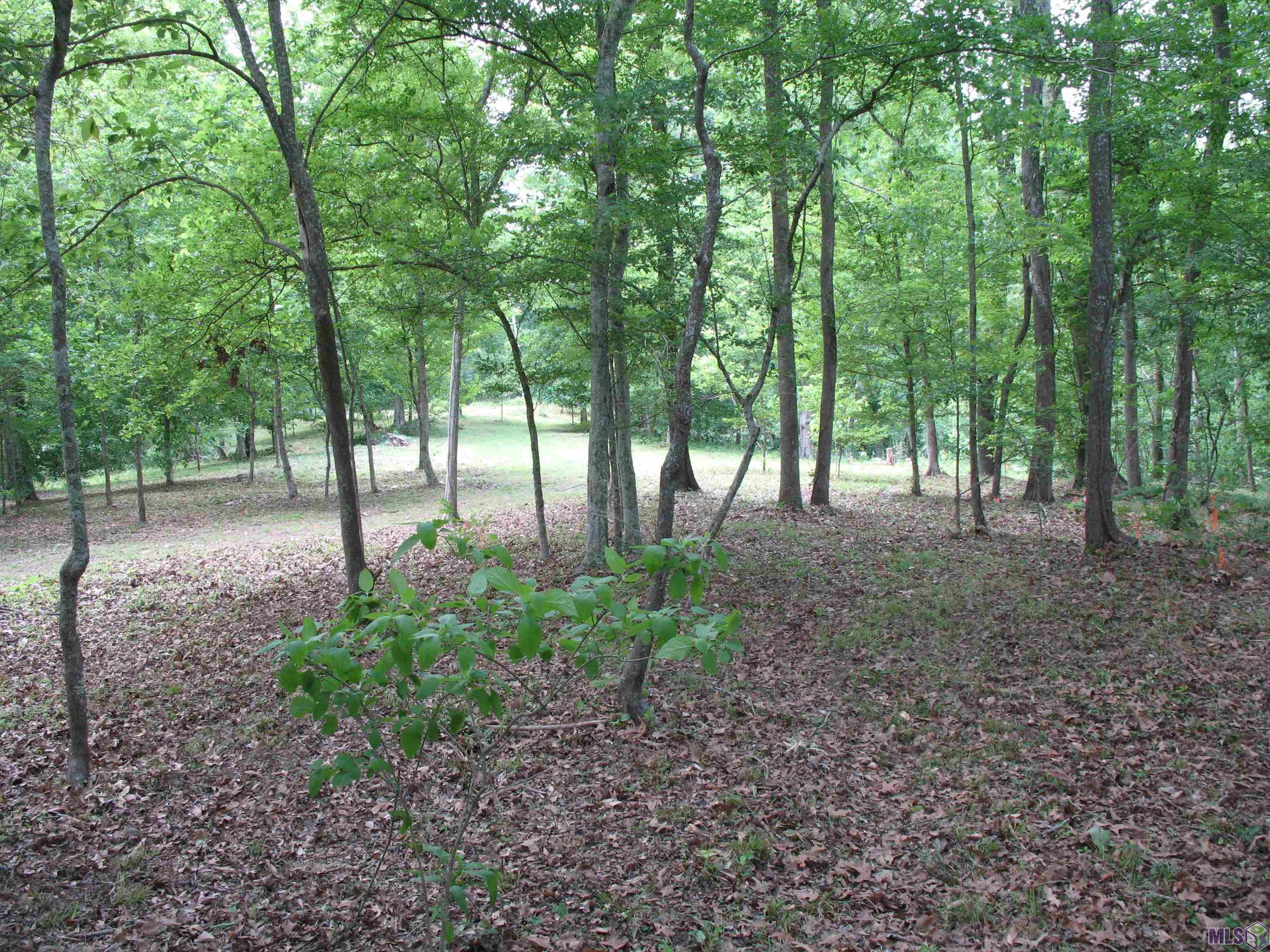 5850 Alexander Dr, St Francisville, LA, 70775