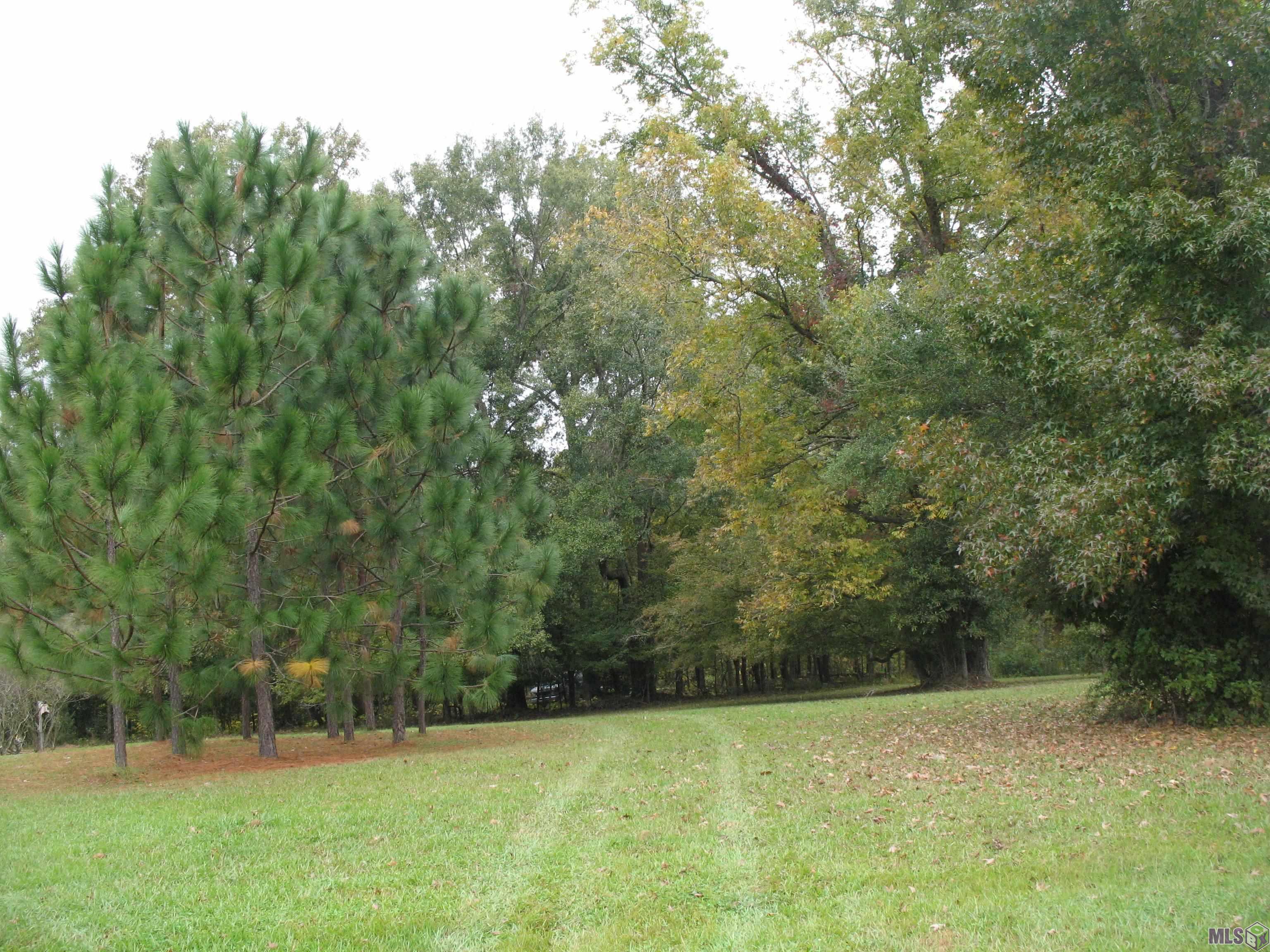 5850 Alexander Dr, St Francisville, LA, 70775