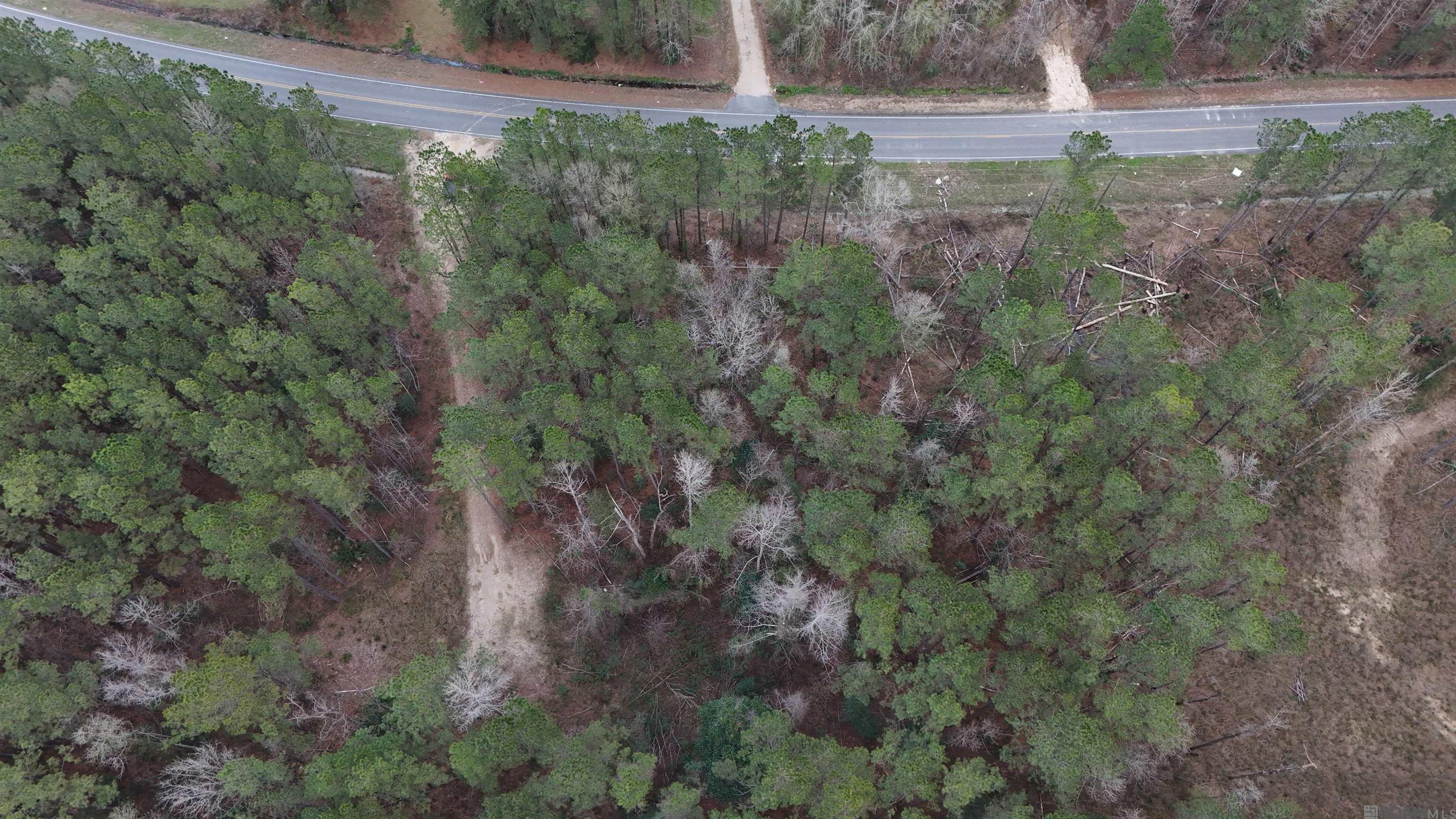 14373 Springfield Rd, Walker, LA, 70785