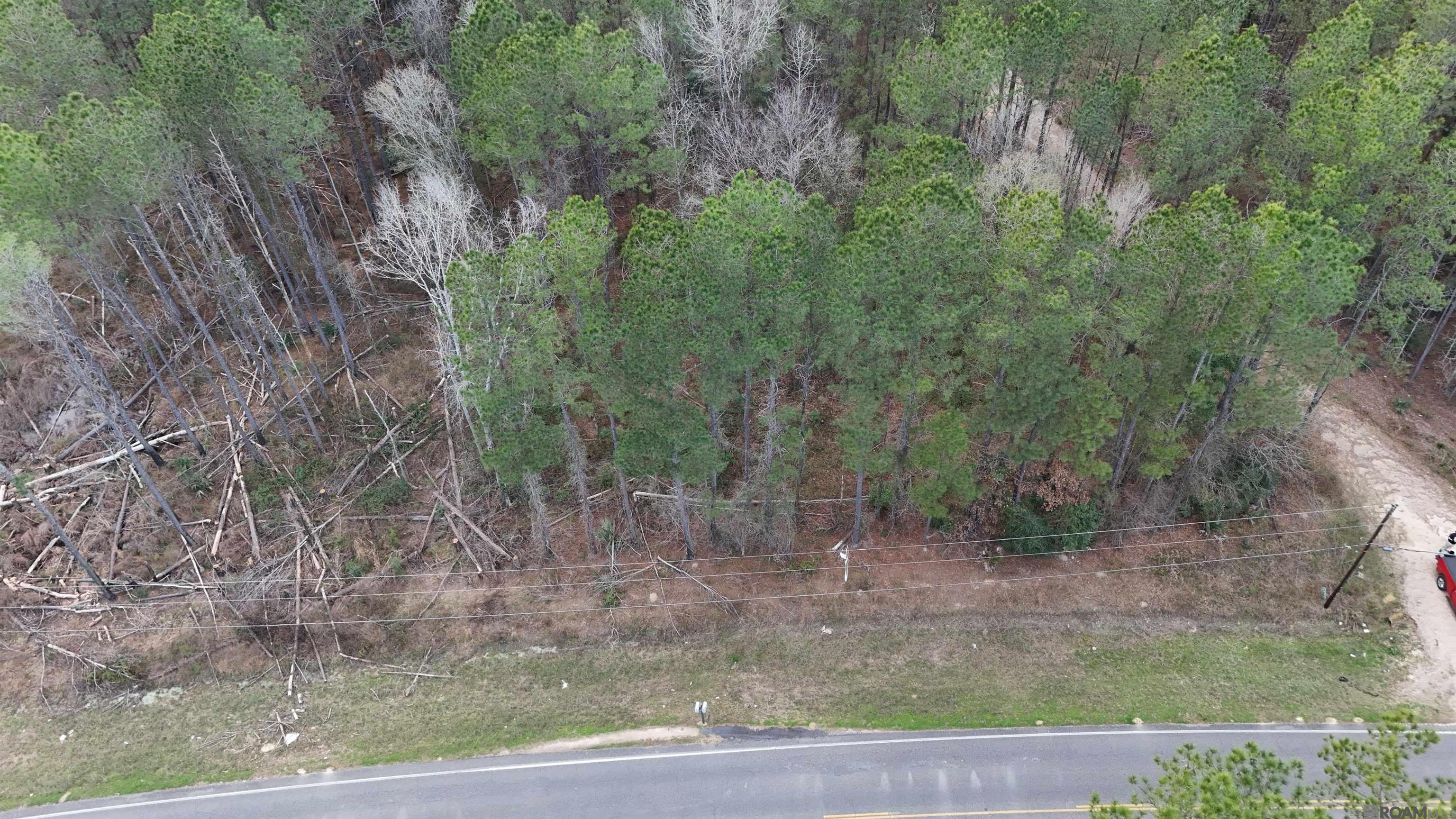 14373 Springfield Rd, Walker, LA, 70785