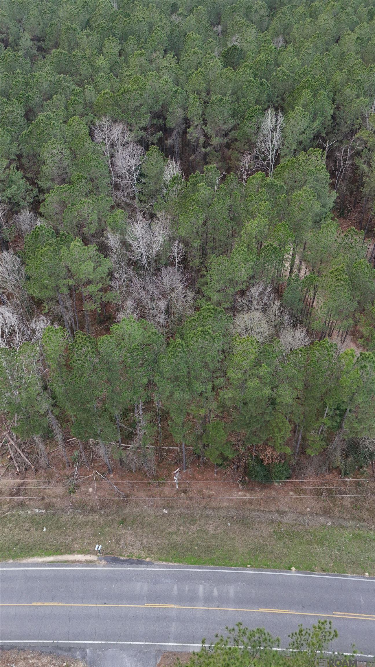 14373 Springfield Rd, Walker, LA, 70785