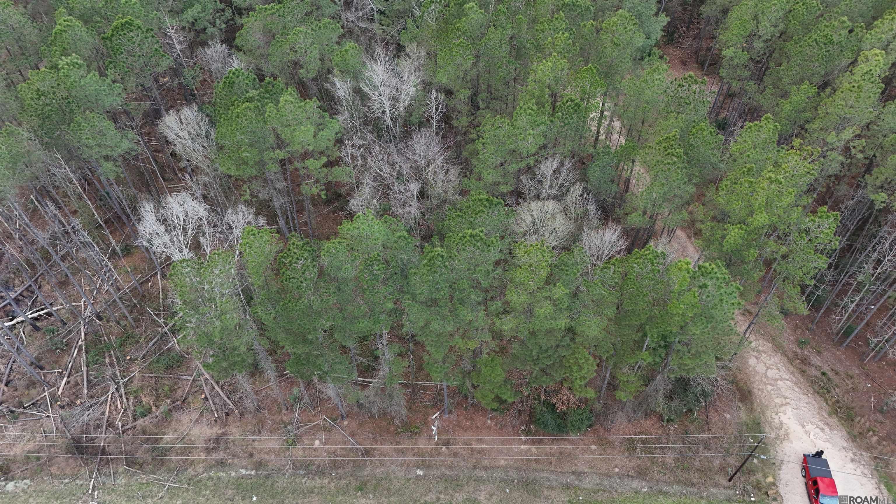 14373 Springfield Rd, Walker, LA, 70785