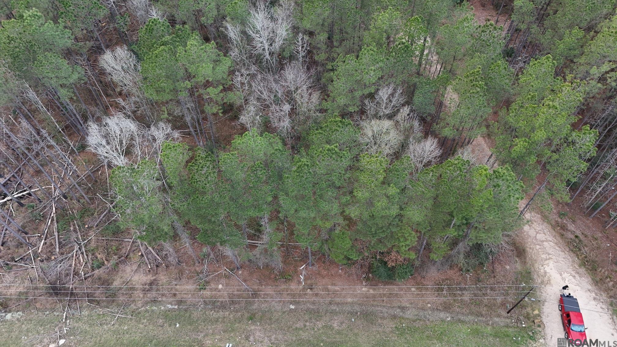 14373 Springfield Rd, Walker, LA, 70785