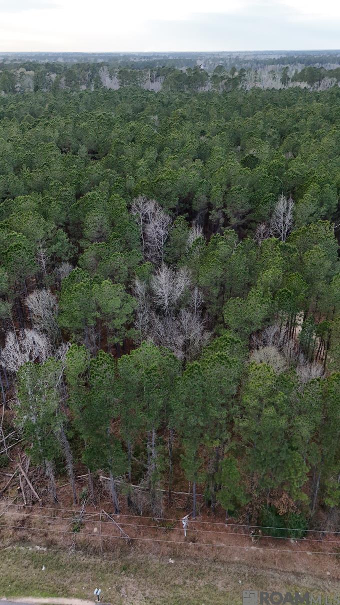 14373 Springfield Rd, Walker, LA, 70785