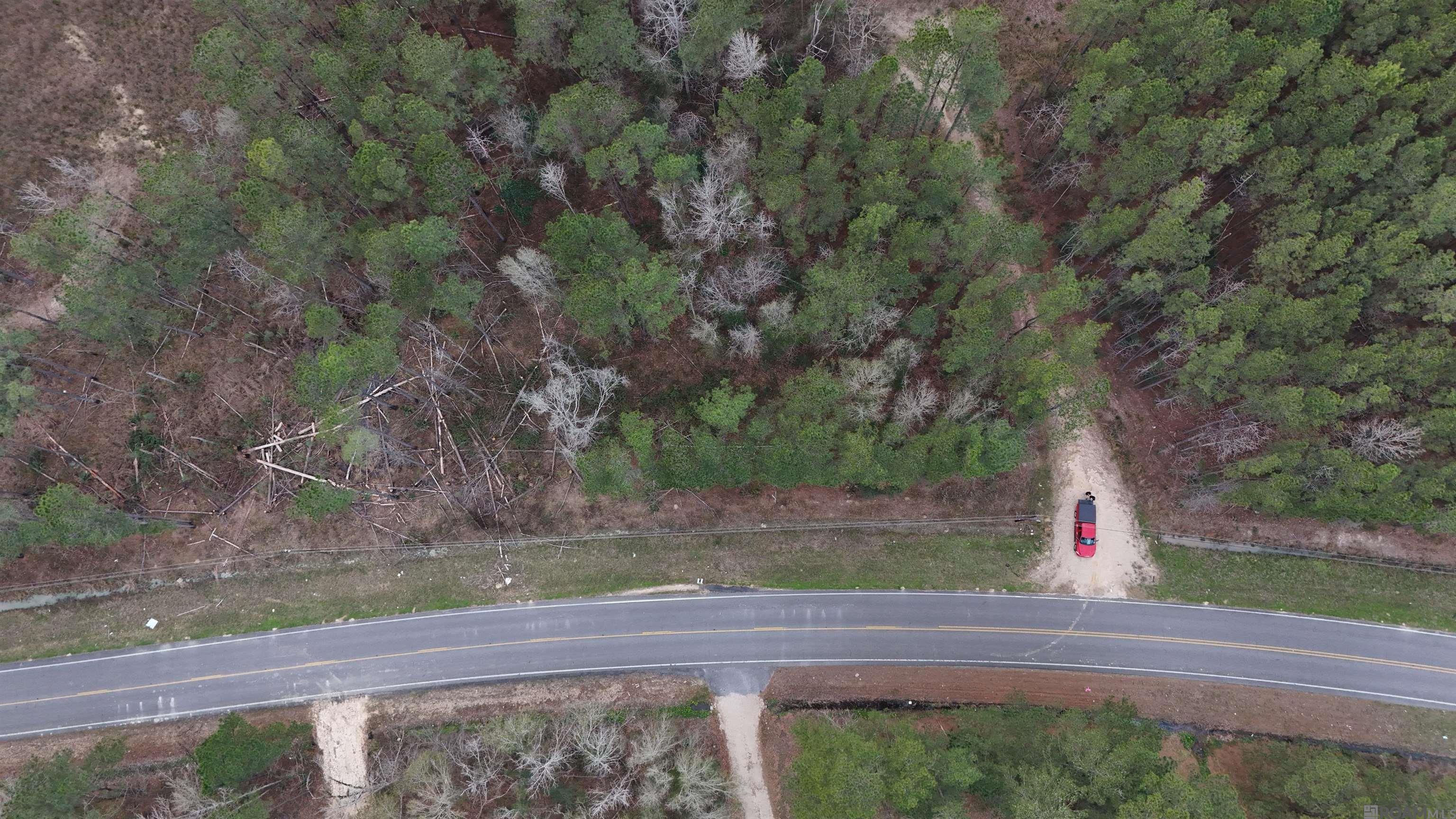 14373 Springfield Rd, Walker, LA, 70785