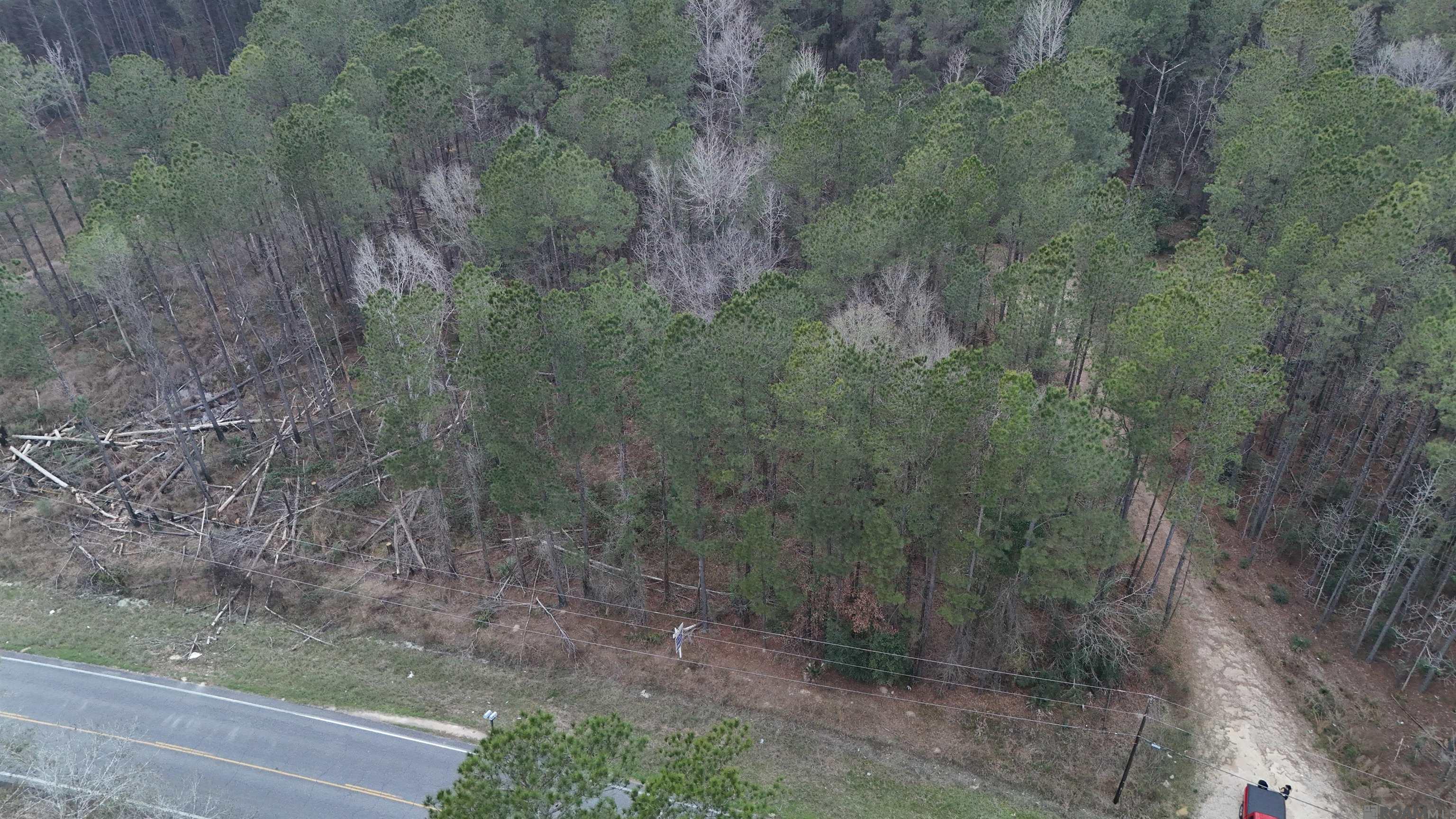 14373 Springfield Rd, Walker, LA, 70785