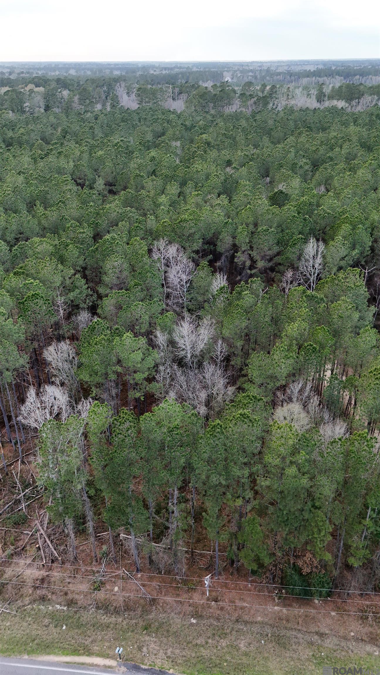 14373 Springfield Rd, Walker, LA, 70785