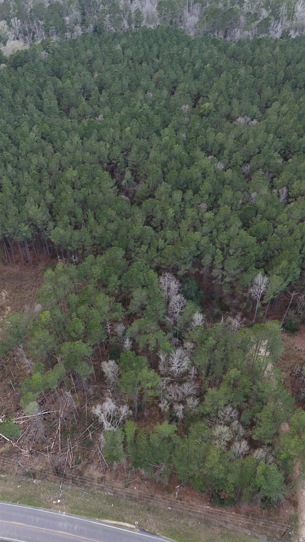 14373 Springfield Rd, Walker, LA, 70785