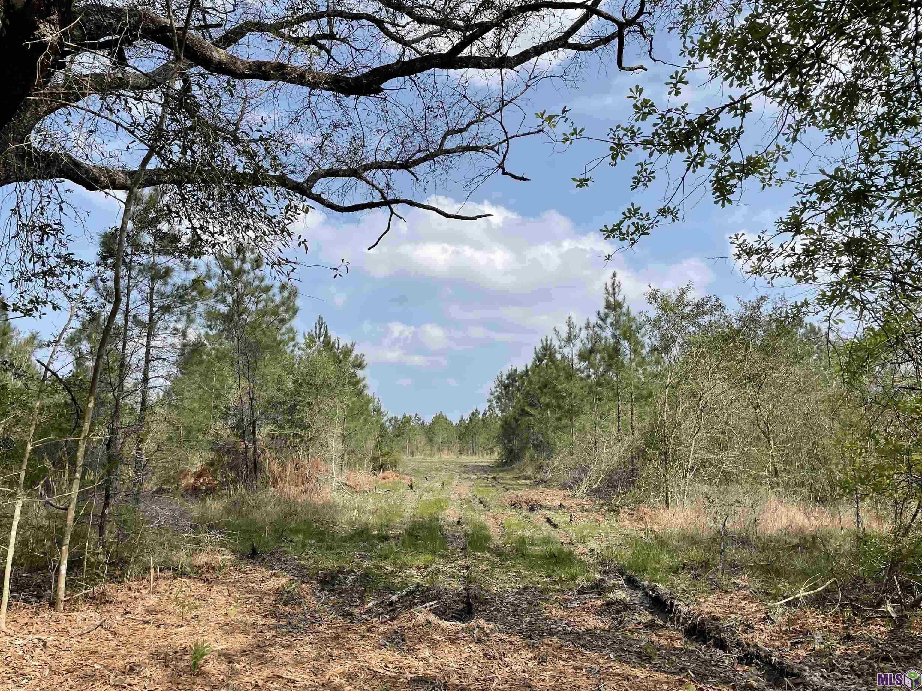 Tract 14 Lorin Wall Rd, Holden, LA, 70774