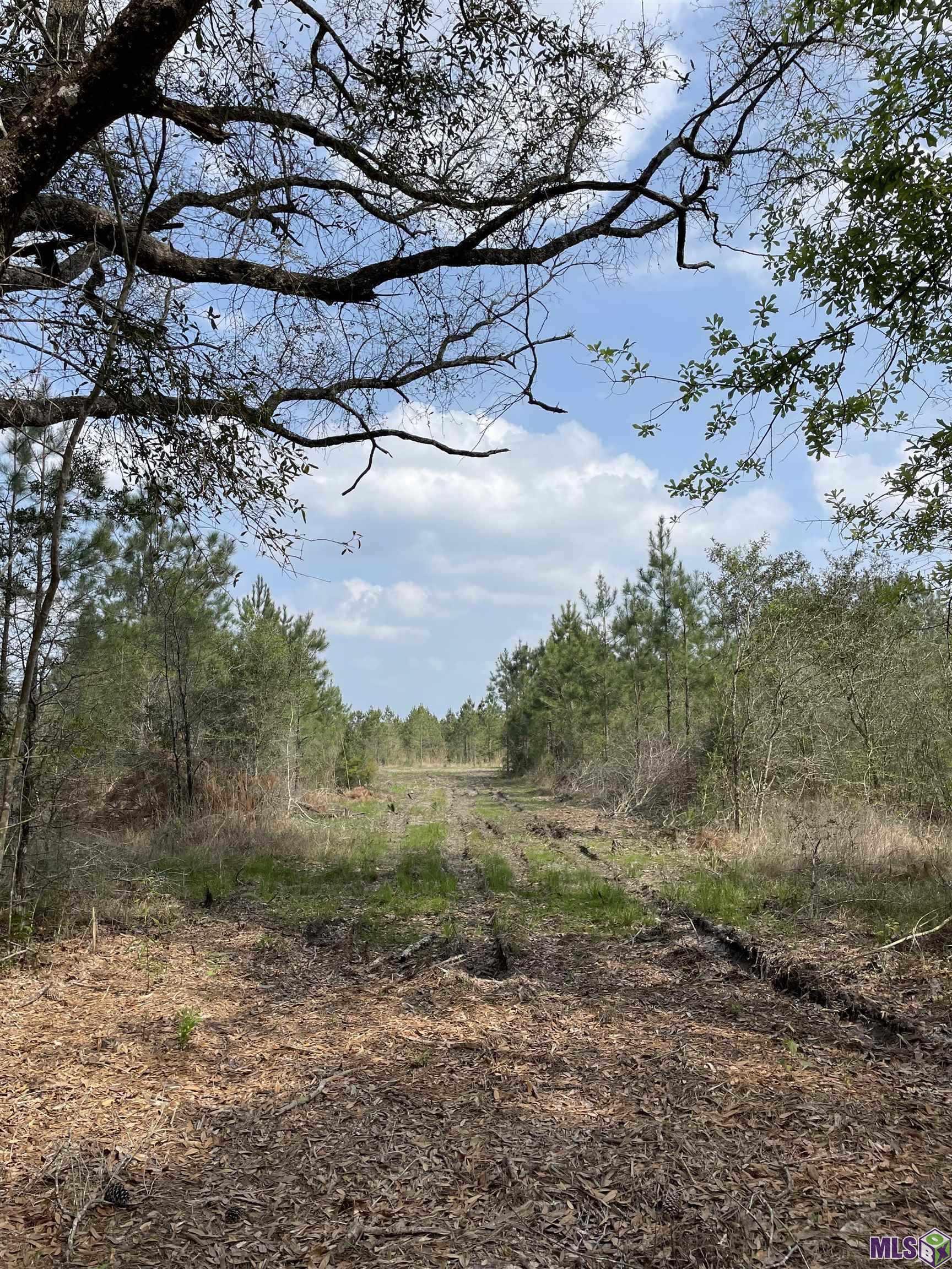 Tract 14 Lorin Wall Rd, Holden, LA, 70774