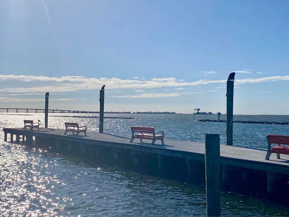 117 Boudreaux Ln, Grand Isle, LA, 70358