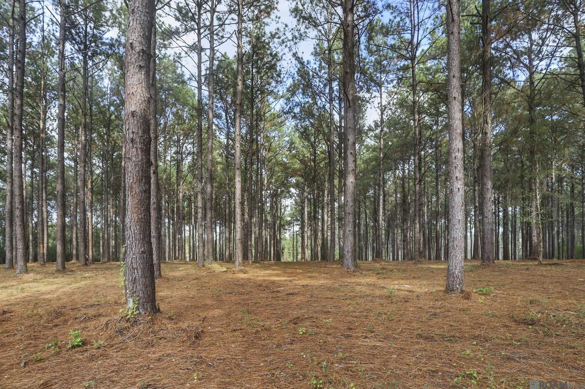 1614 Tiger Crossing Dr, Saint George, LA, 70810