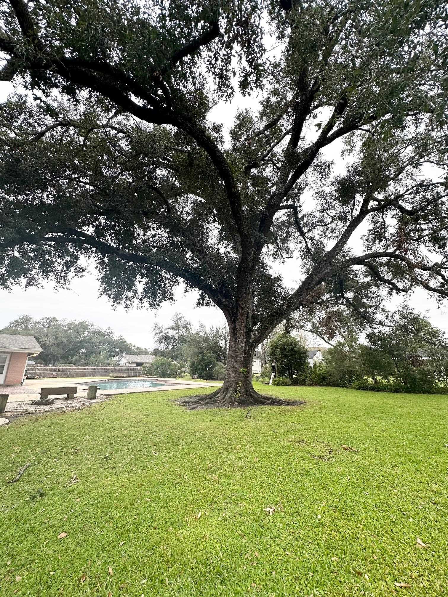 110 Sherman St, Houma, LA, 70360