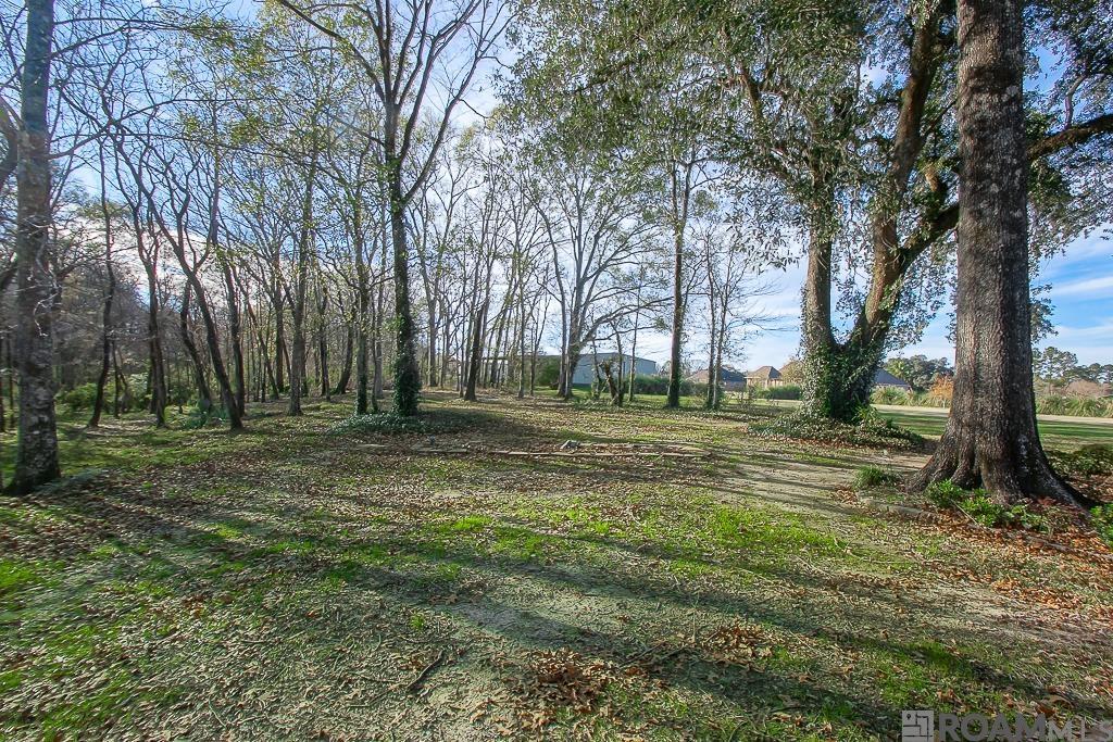 24905 La Hwy 1032, Denham Springs, LA, 70726