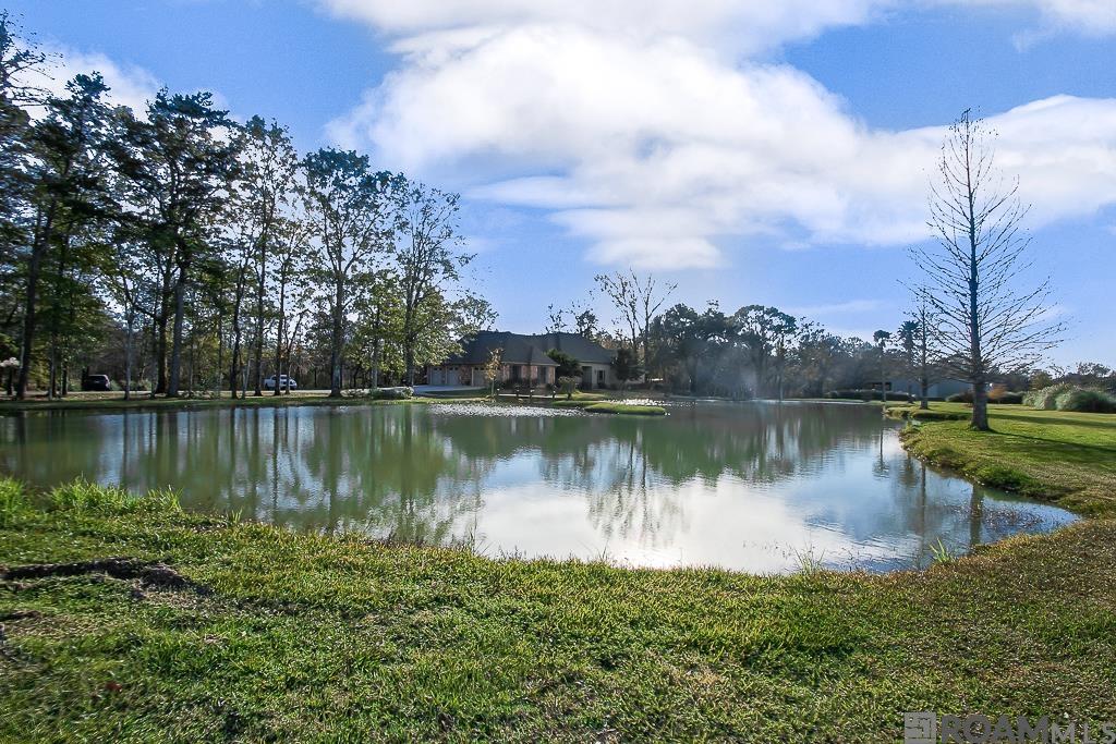 24905 La Hwy 1032, Denham Springs, LA, 70726