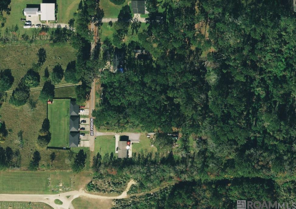 1580 Norma Dr, Denham Springs, LA, 70726