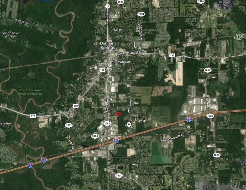 1580 Norma Dr, Denham Springs, LA, 70726