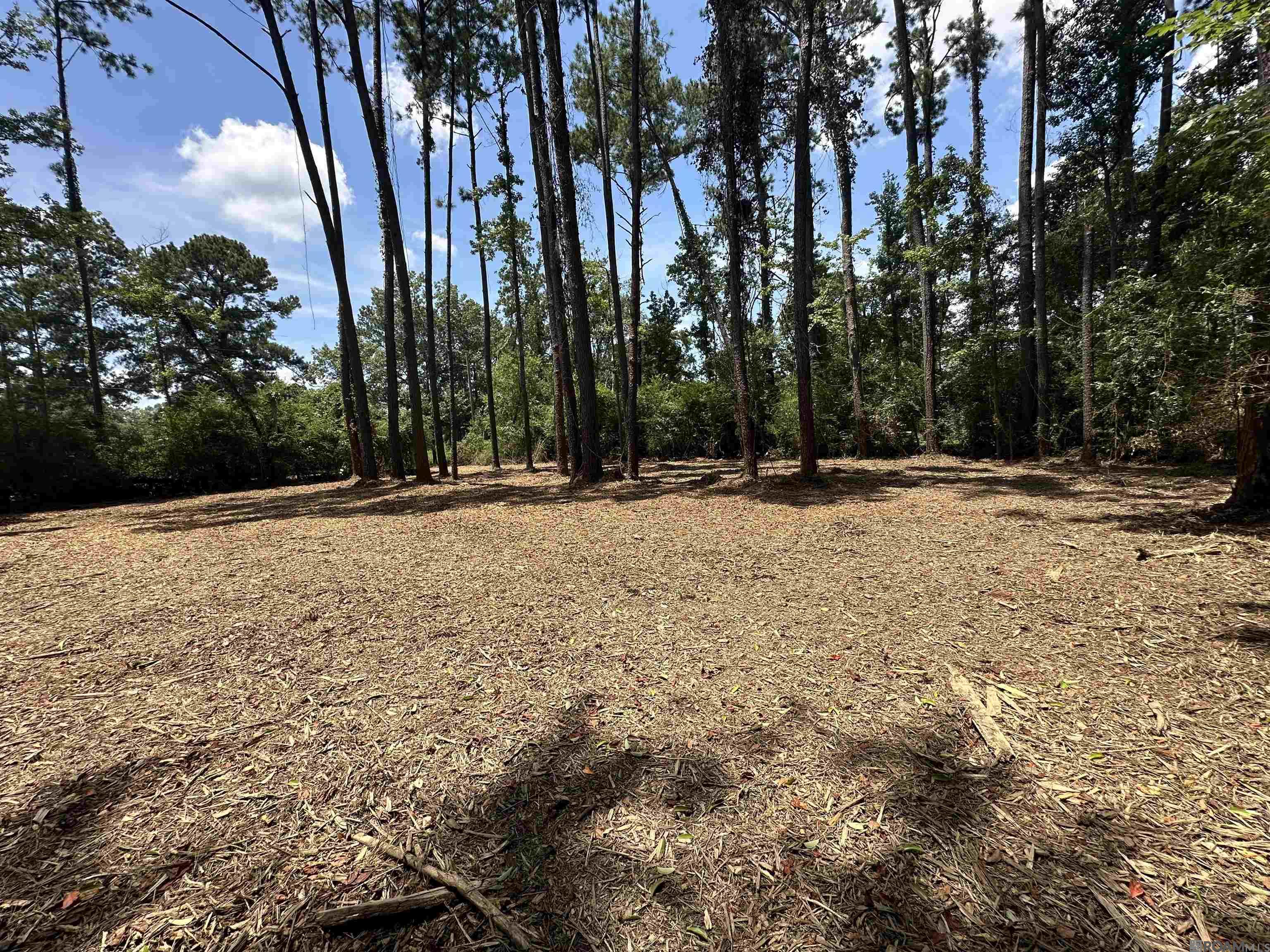 1580 Norma Dr, Denham Springs, LA, 70726