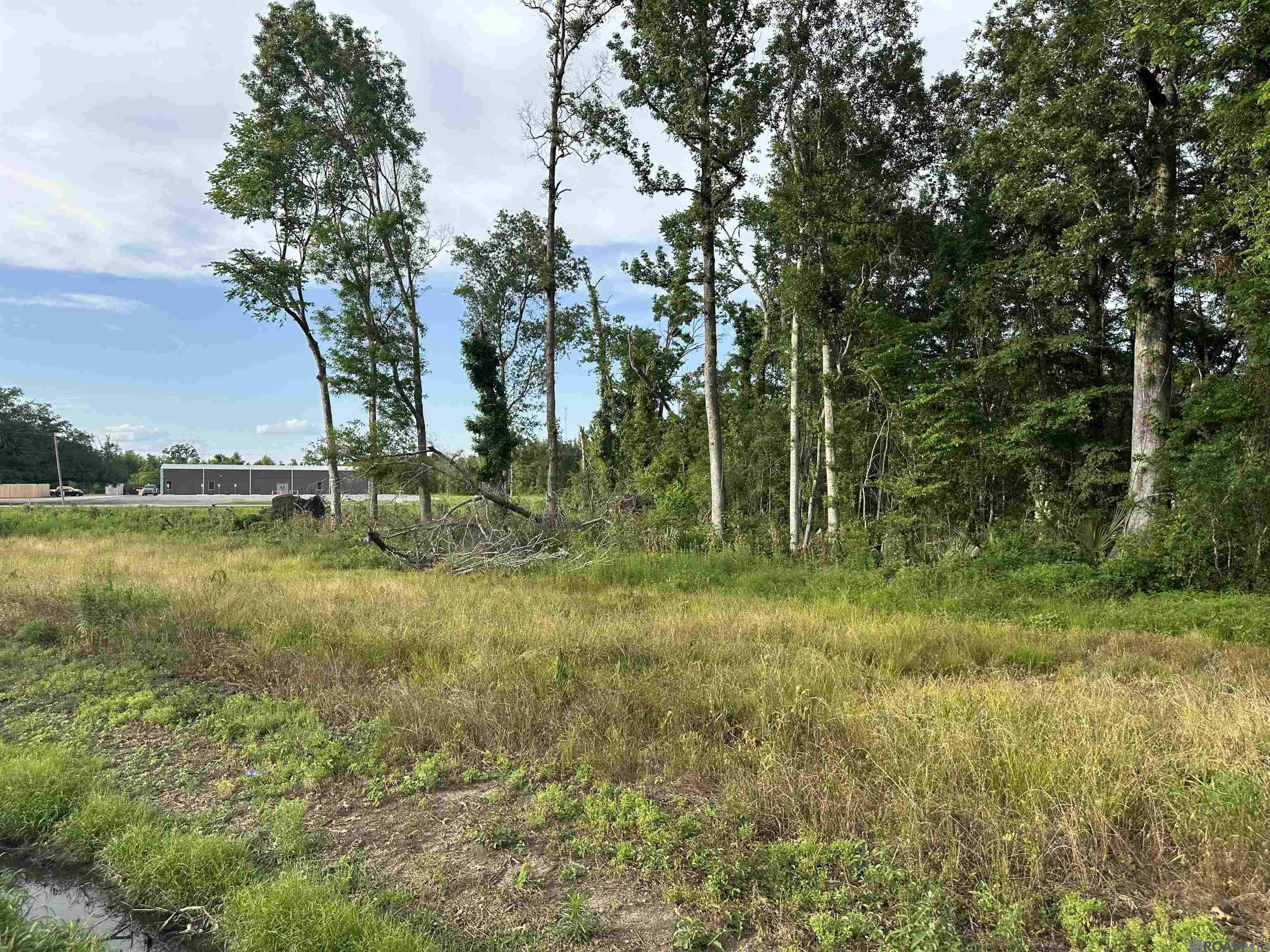 42455 Church Point Rd, Gonzales, LA, 70737