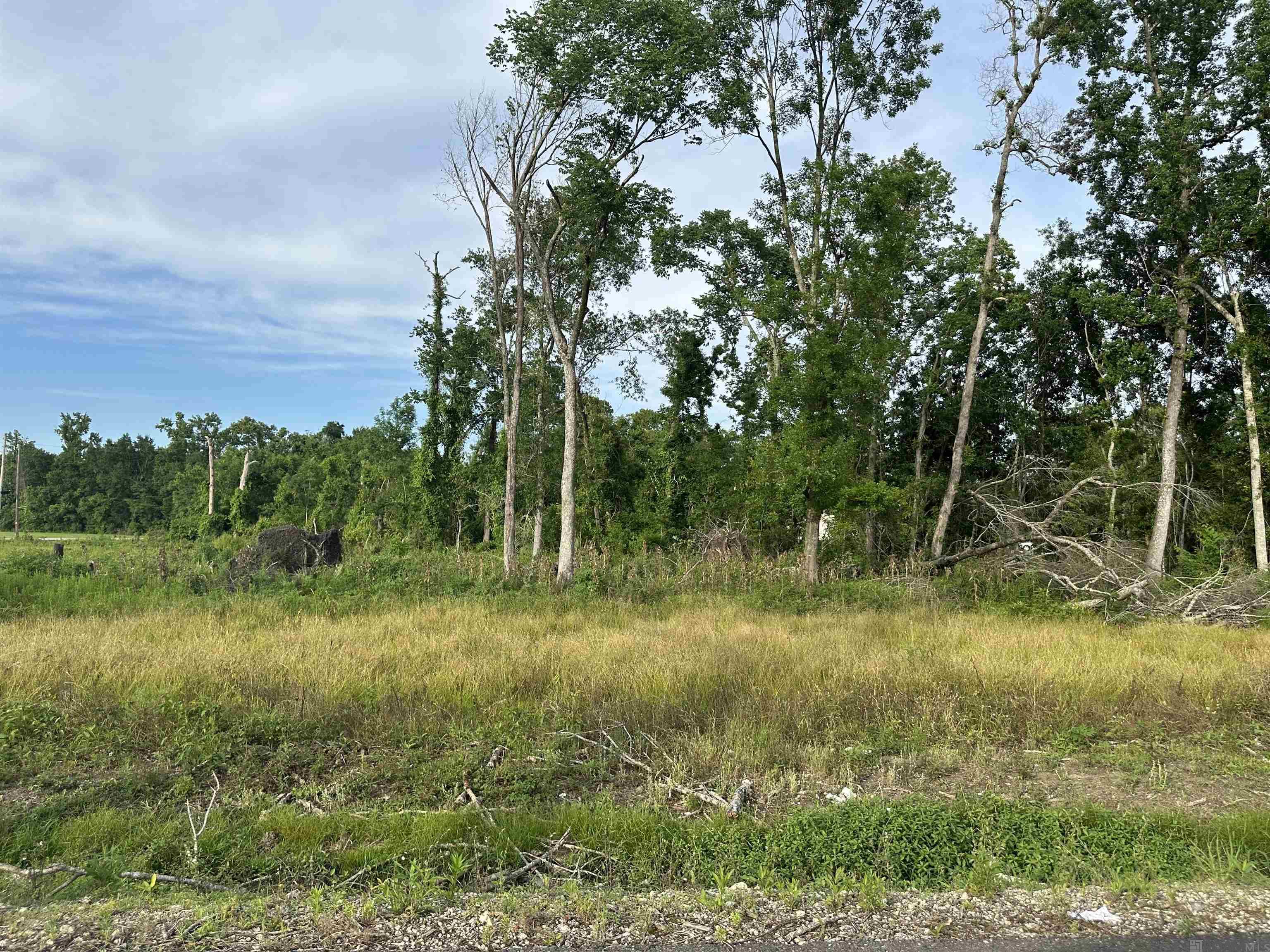 42455 Church Point Rd, Gonzales, LA, 70737