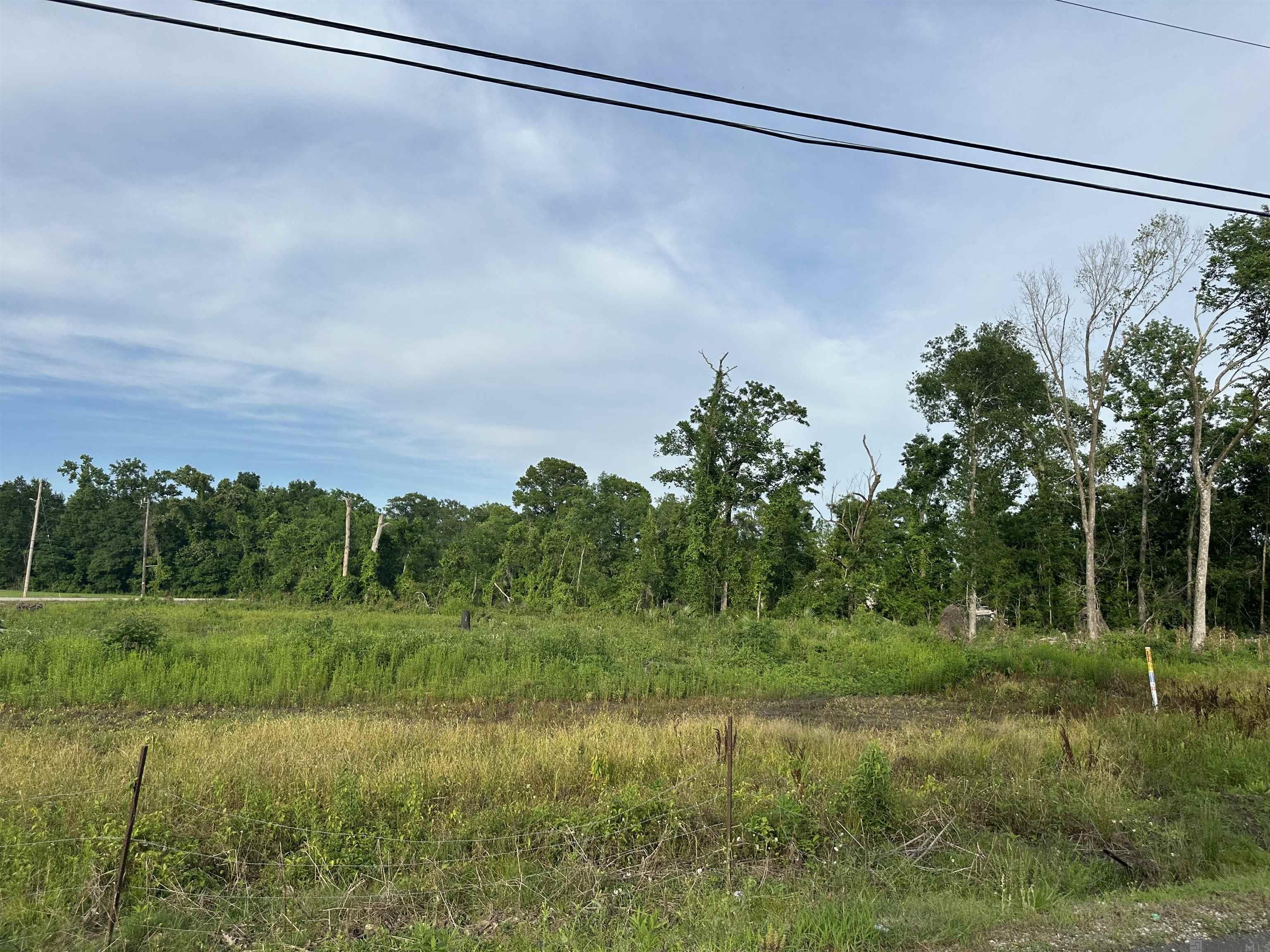 42455 Church Point Rd, Gonzales, LA, 70737