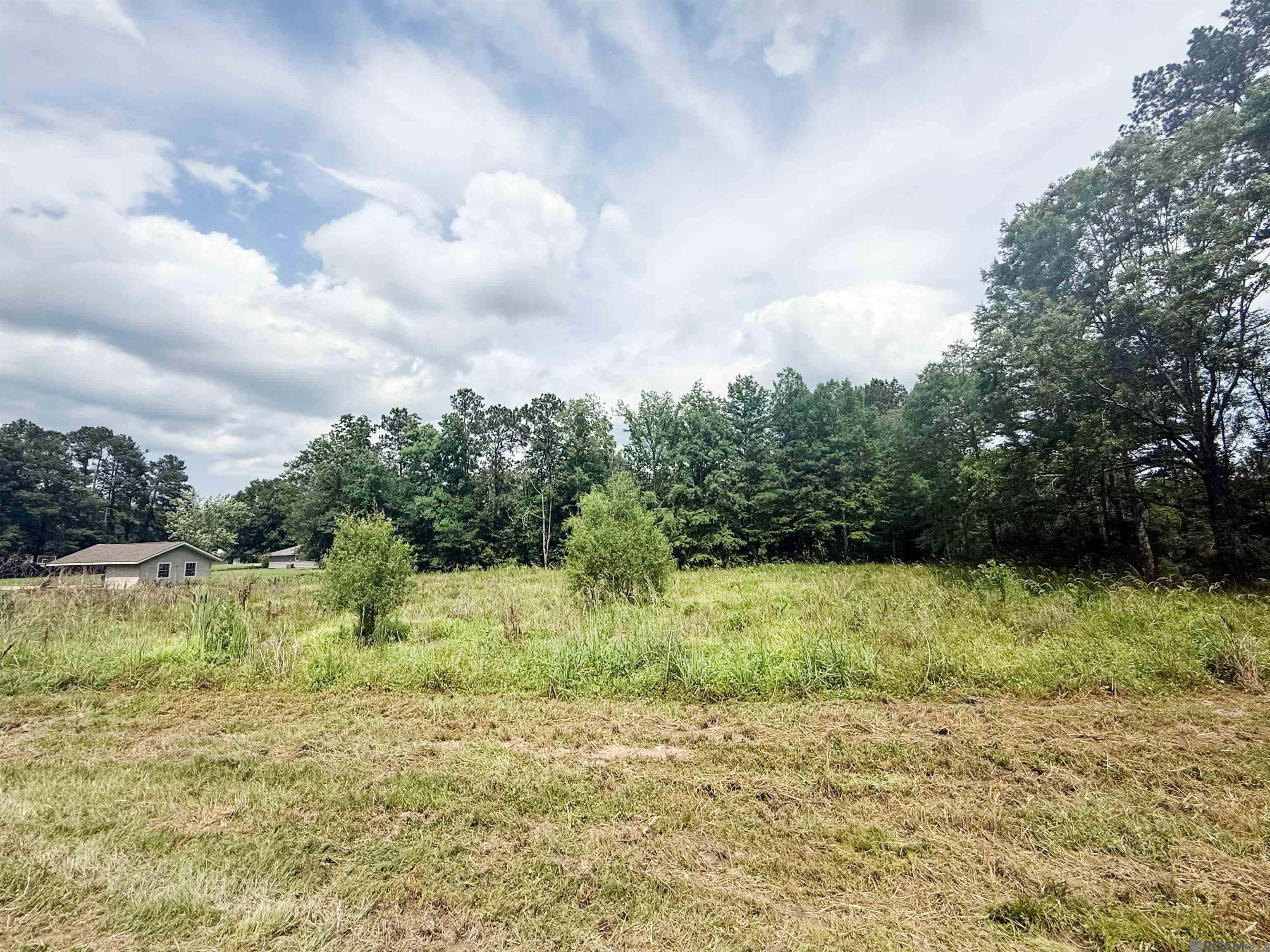 29378 S Anne Dr, Walker, LA, 70785