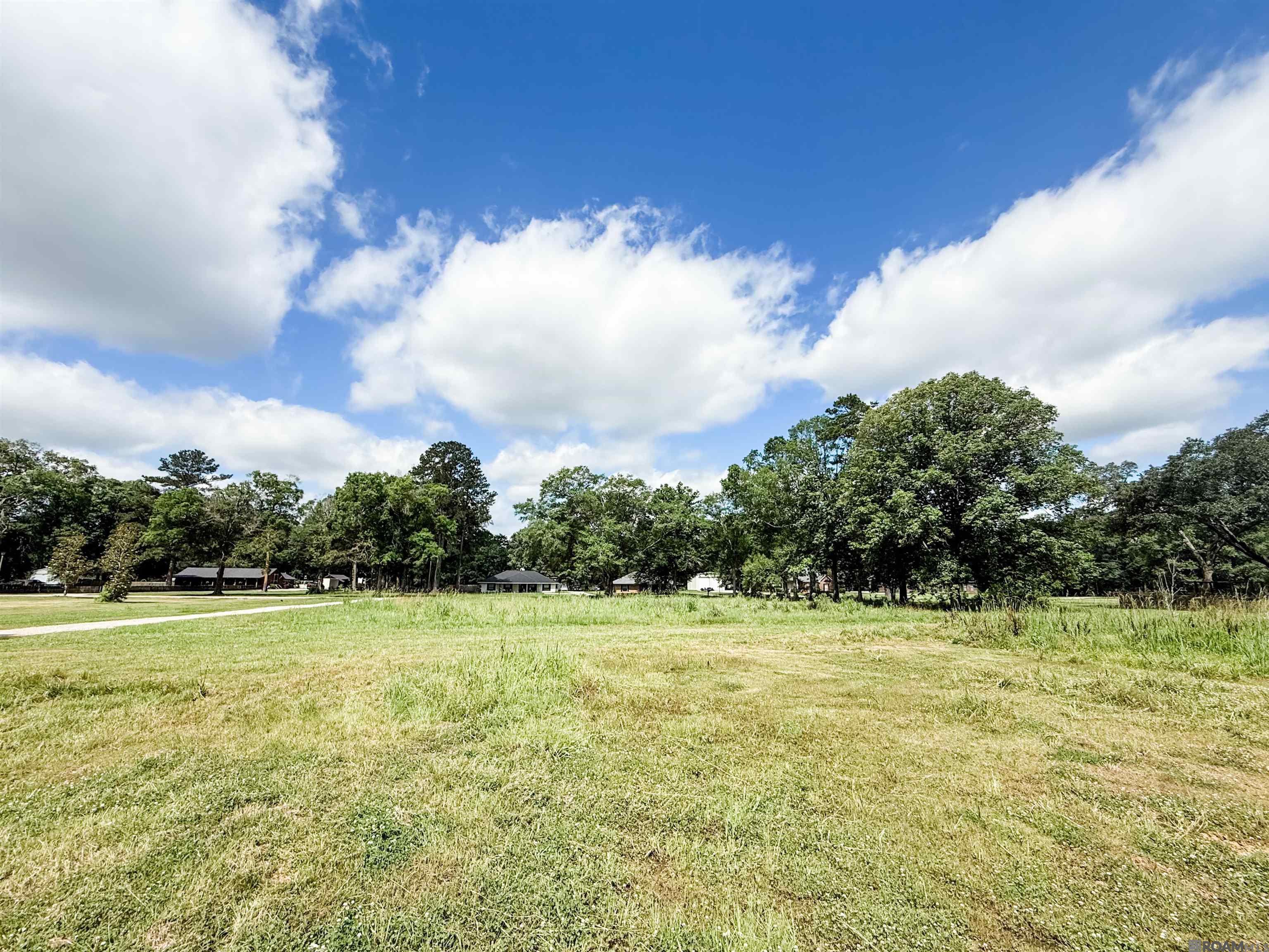 29378 S Anne Dr, Walker, LA, 70785