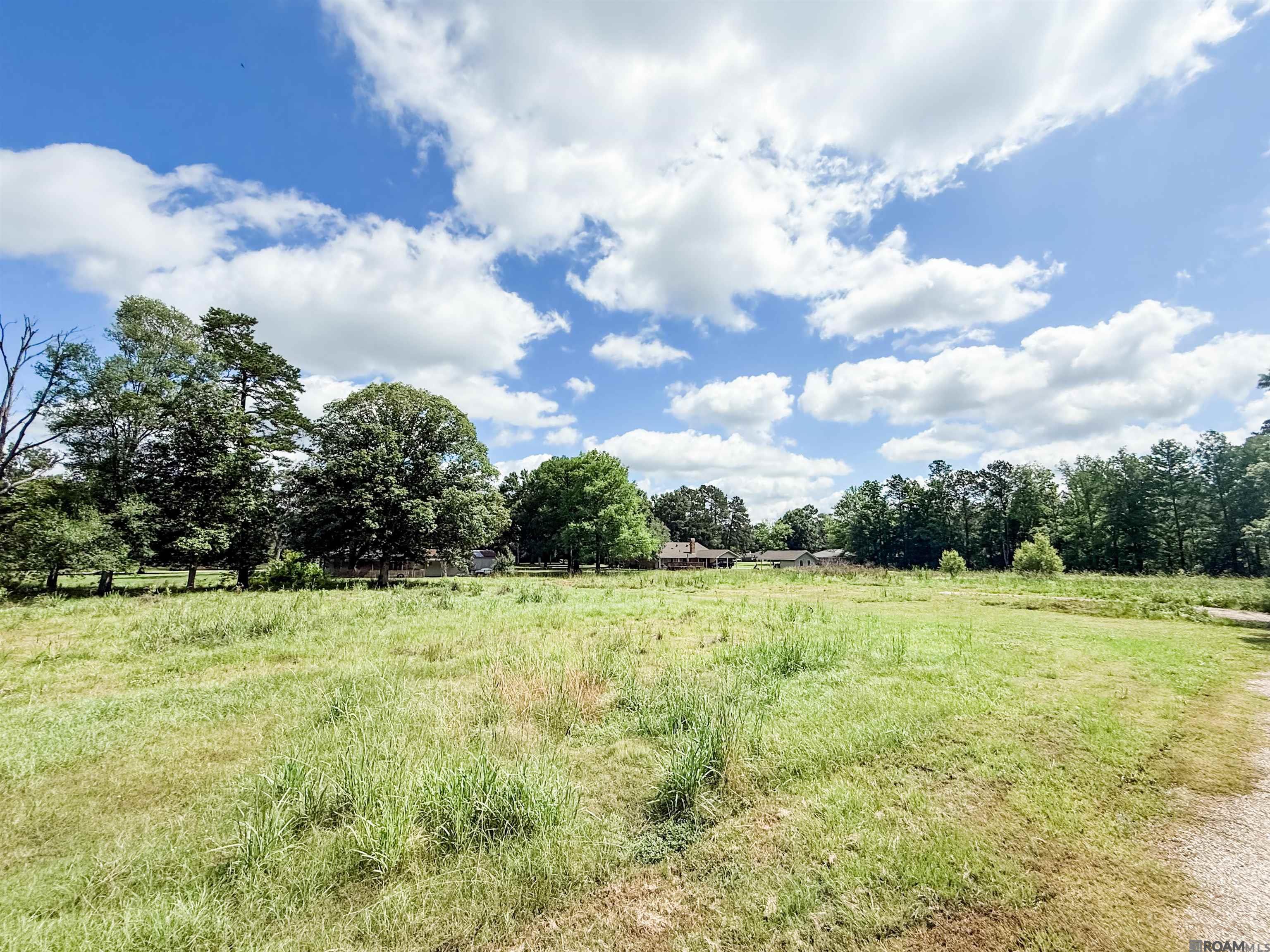 29378 S Anne Dr, Walker, LA, 70785